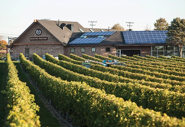 Newport Vineyards