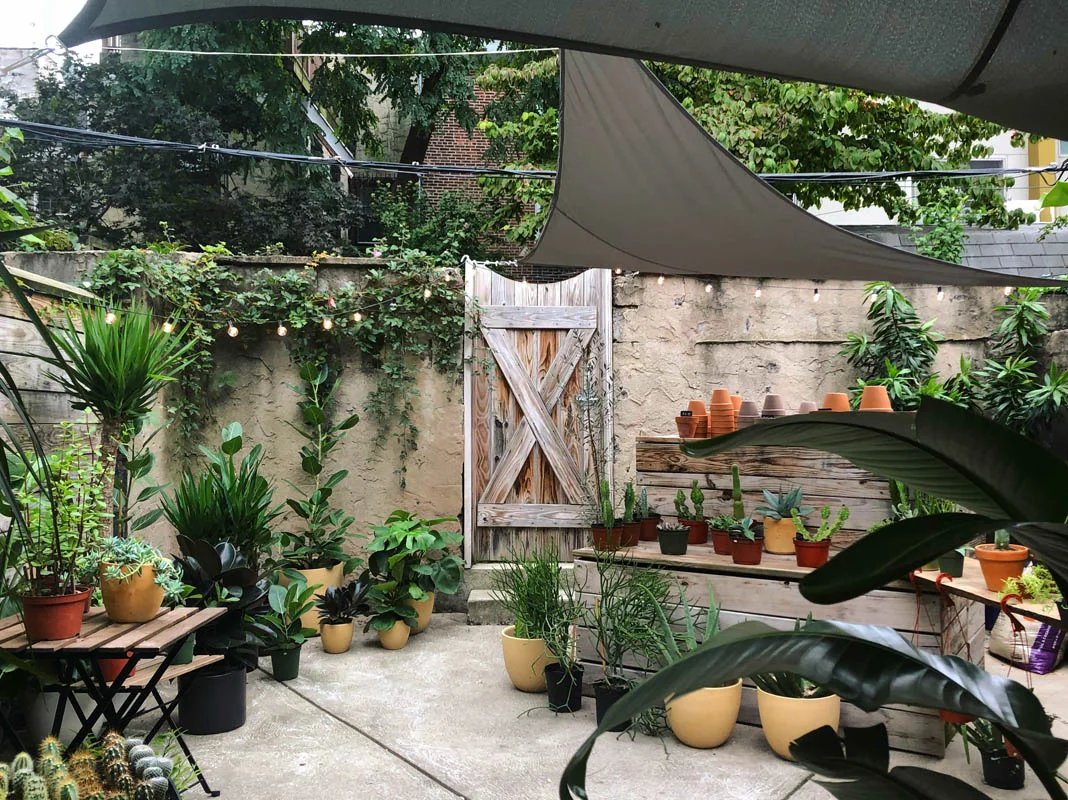 stump plants philadelphia 2.jpg