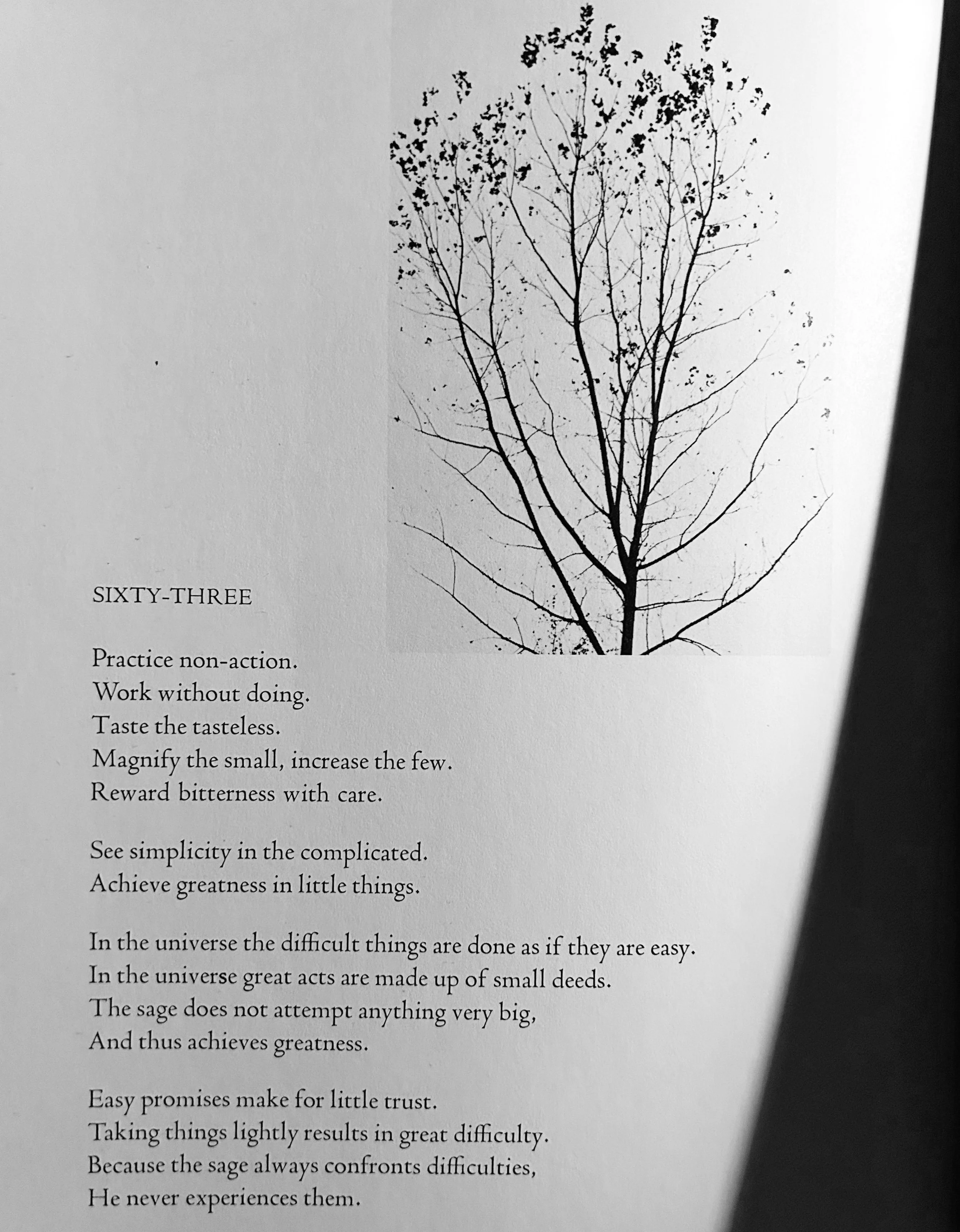 tao te ching / sixty-three