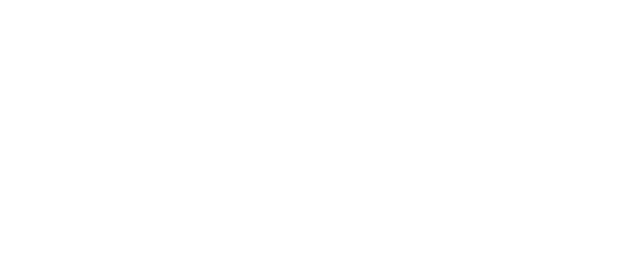 MAGNIFY THE SMALL