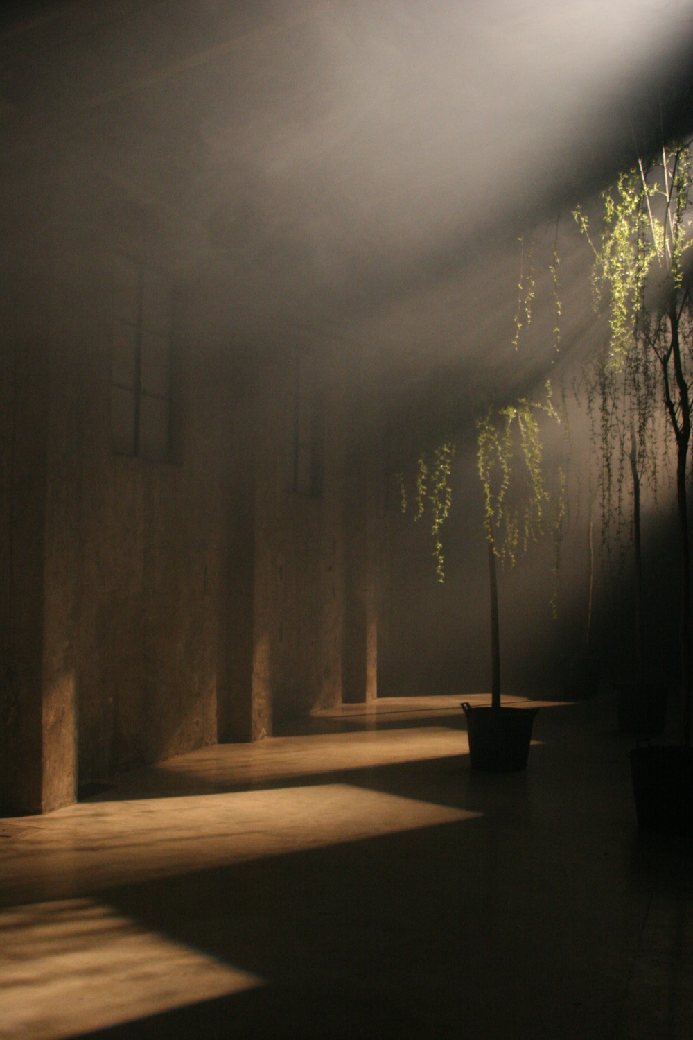  with light regards,
an installation by AJ Weissbard
Segheria, Milano, 2006
© photo by AJ Weissbard, 2006 