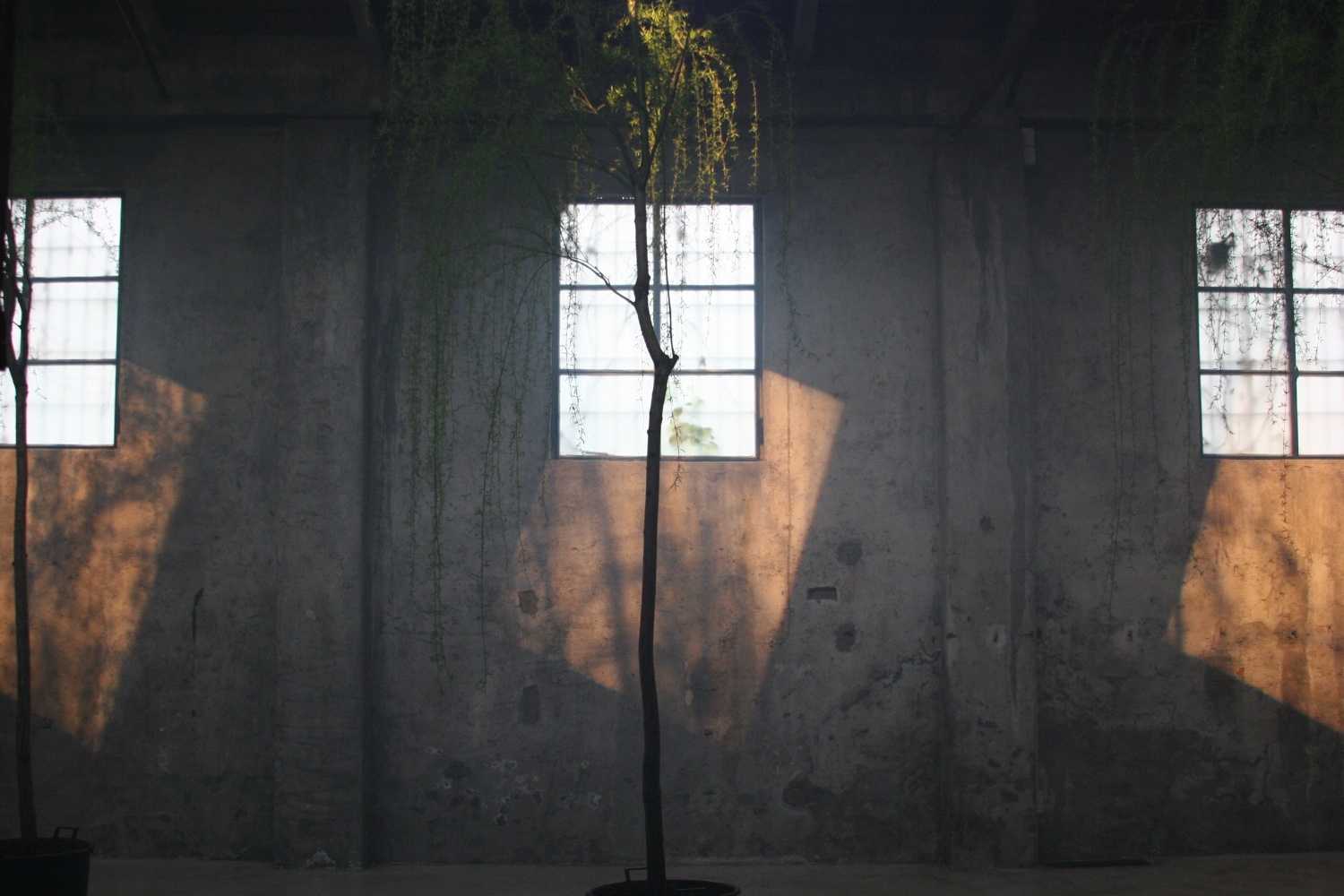  with light regards,
an installation by AJ Weissbard
Segheria, Milano, 2006
© photo by AJ Weissbard, 2006 