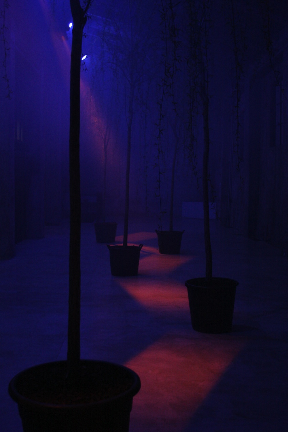  with light regards,
an installation by AJ Weissbard
Segheria, Milano, 2006
© photo by AJ Weissbard, 2006 