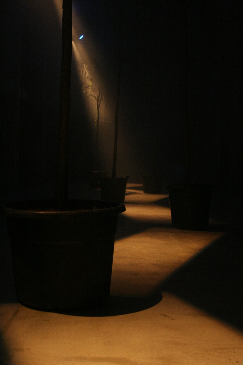  with light regards,
an installation by AJ Weissbard
Segheria, Milano, 2006
© photo by AJ Weissbard, 2006 