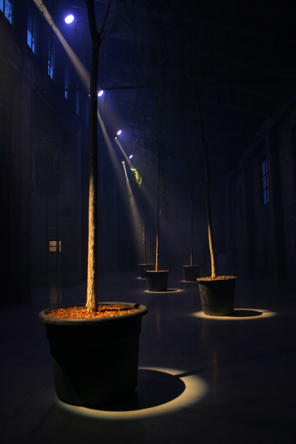  with light regards,
an installation by AJ Weissbard
Segheria, Milano, 2006
© photo by AJ Weissbard, 2006 