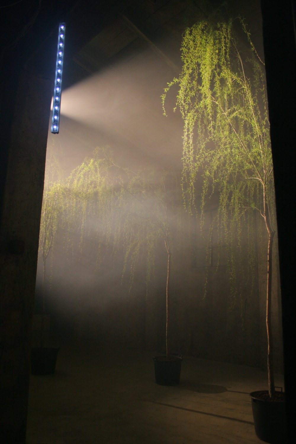  with light regards,
an installation by AJ Weissbard
Segheria, Milano, 2006
© photo by AJ Weissbard, 2006 