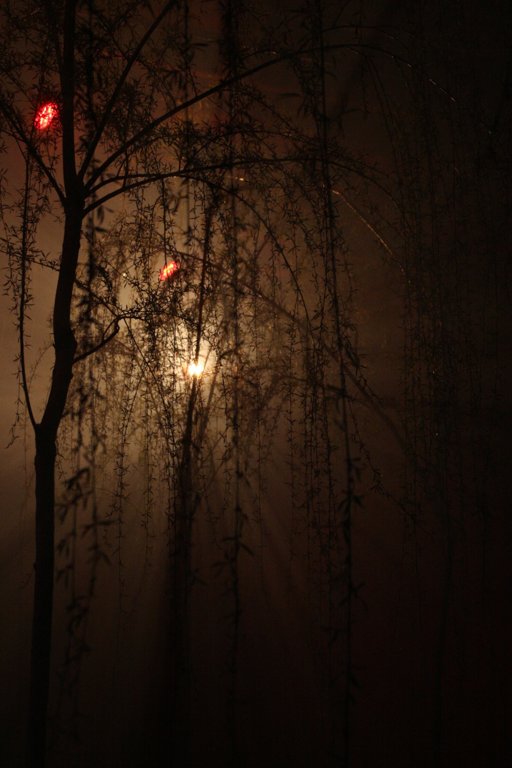  with light regards,
an installation by AJ Weissbard
Segheria, Milano, 2006
© photo by AJ Weissbard, 2006 