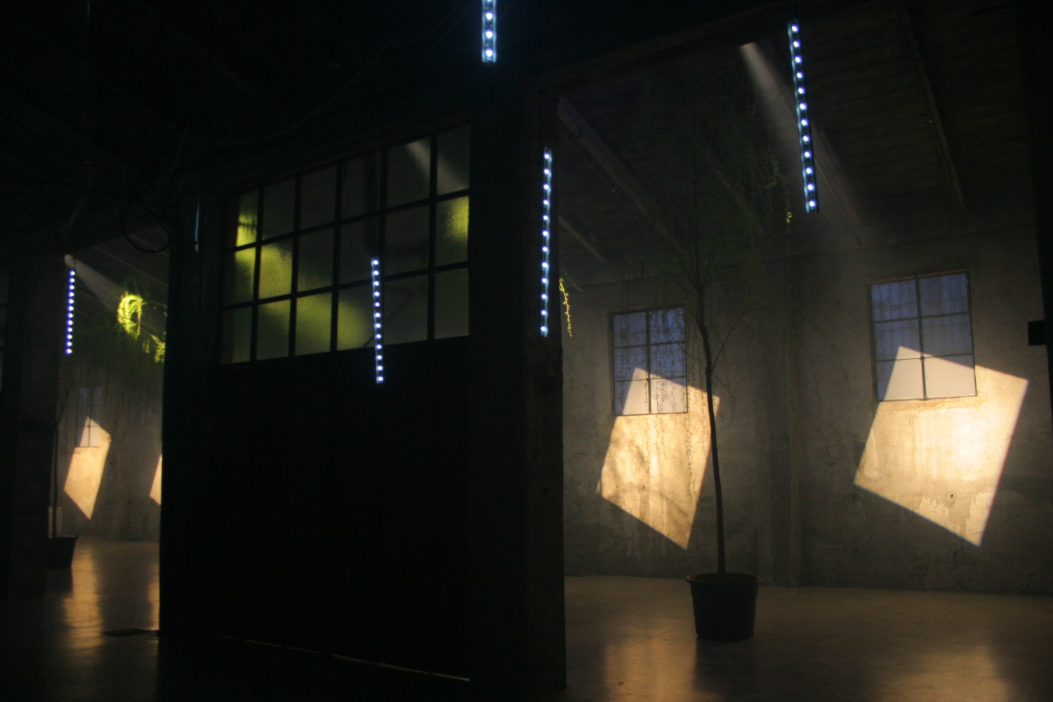  with light regards,
an installation by AJ Weissbard
Segheria, Milano, 2006
© photo by AJ Weissbard, 2006 