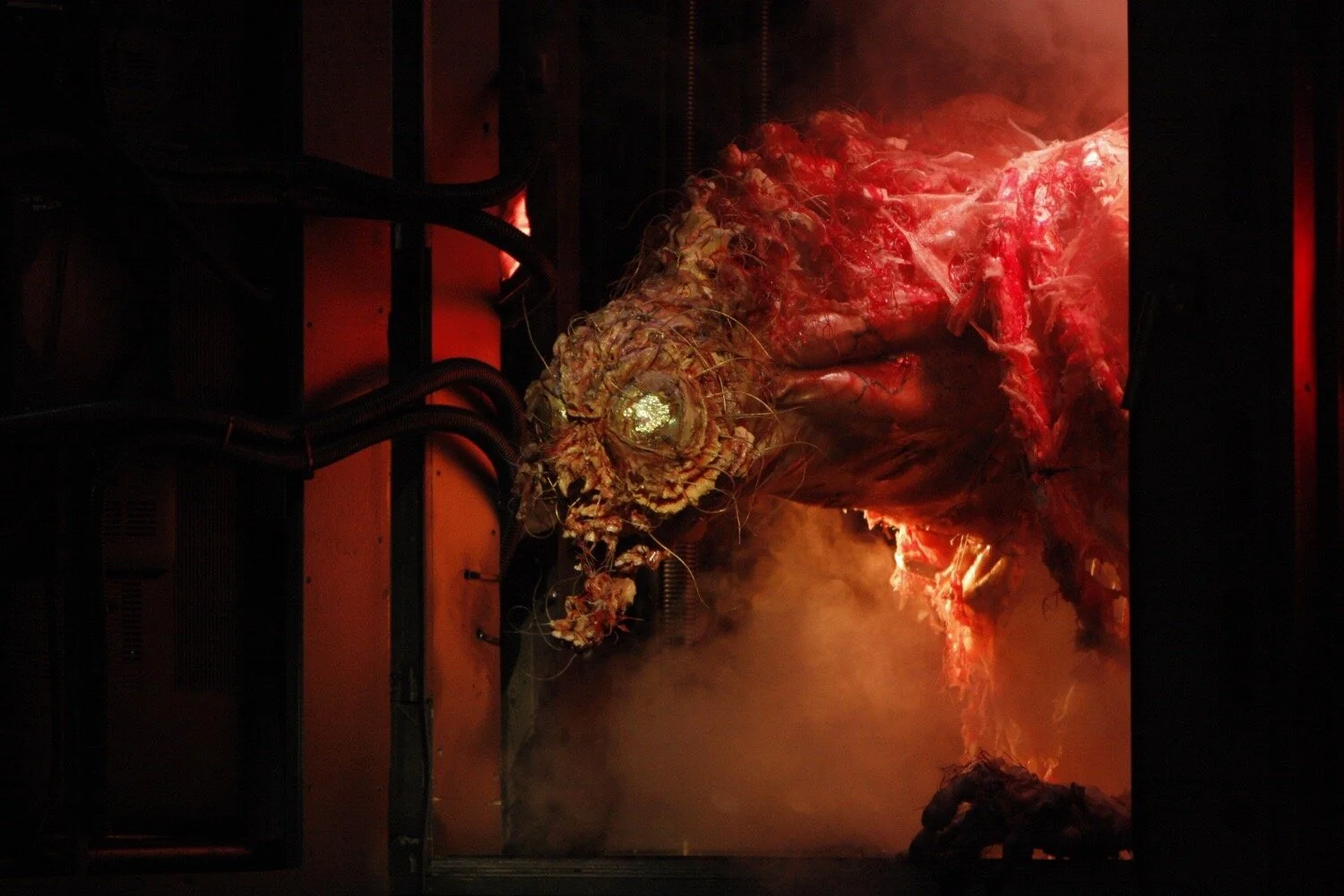  The Fly
LA Opera
Los Angeles, 2008
(photo courtesy of LA Opera) 