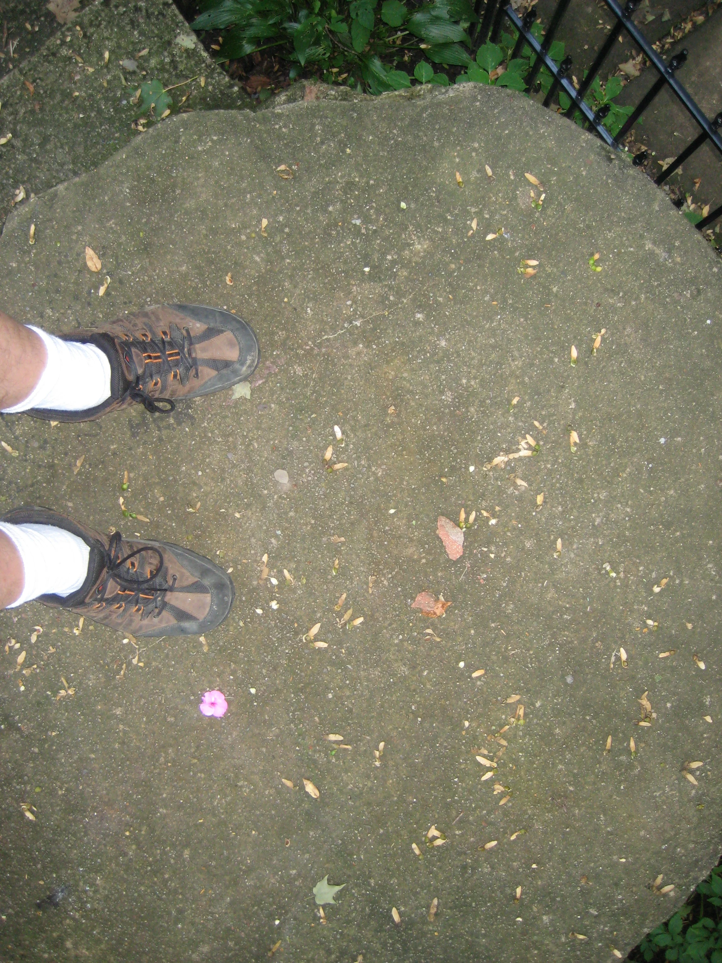 me standing on inspiration stump and feeling nothing.jpg