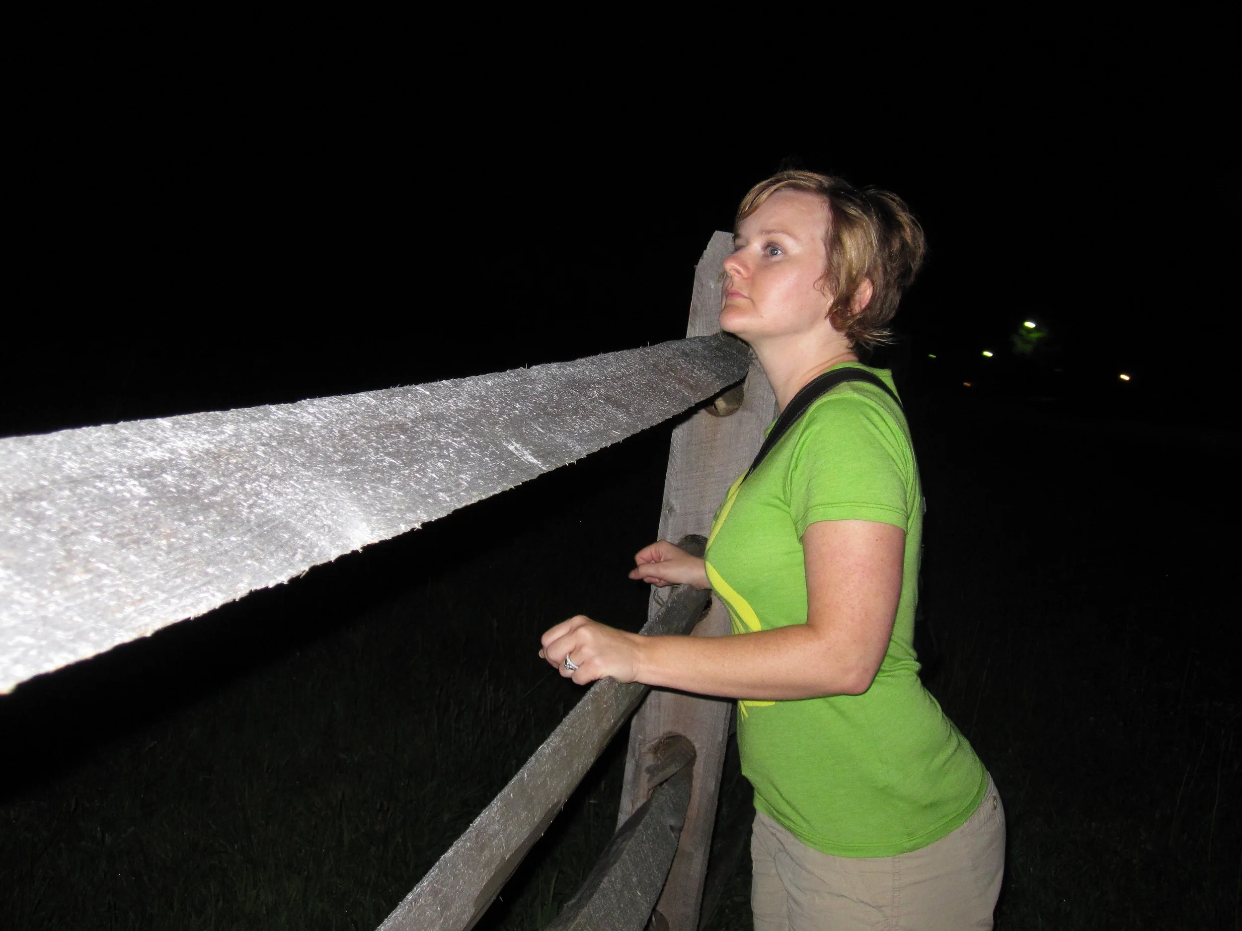 meghan looks out over field at pickett's charge.jpg