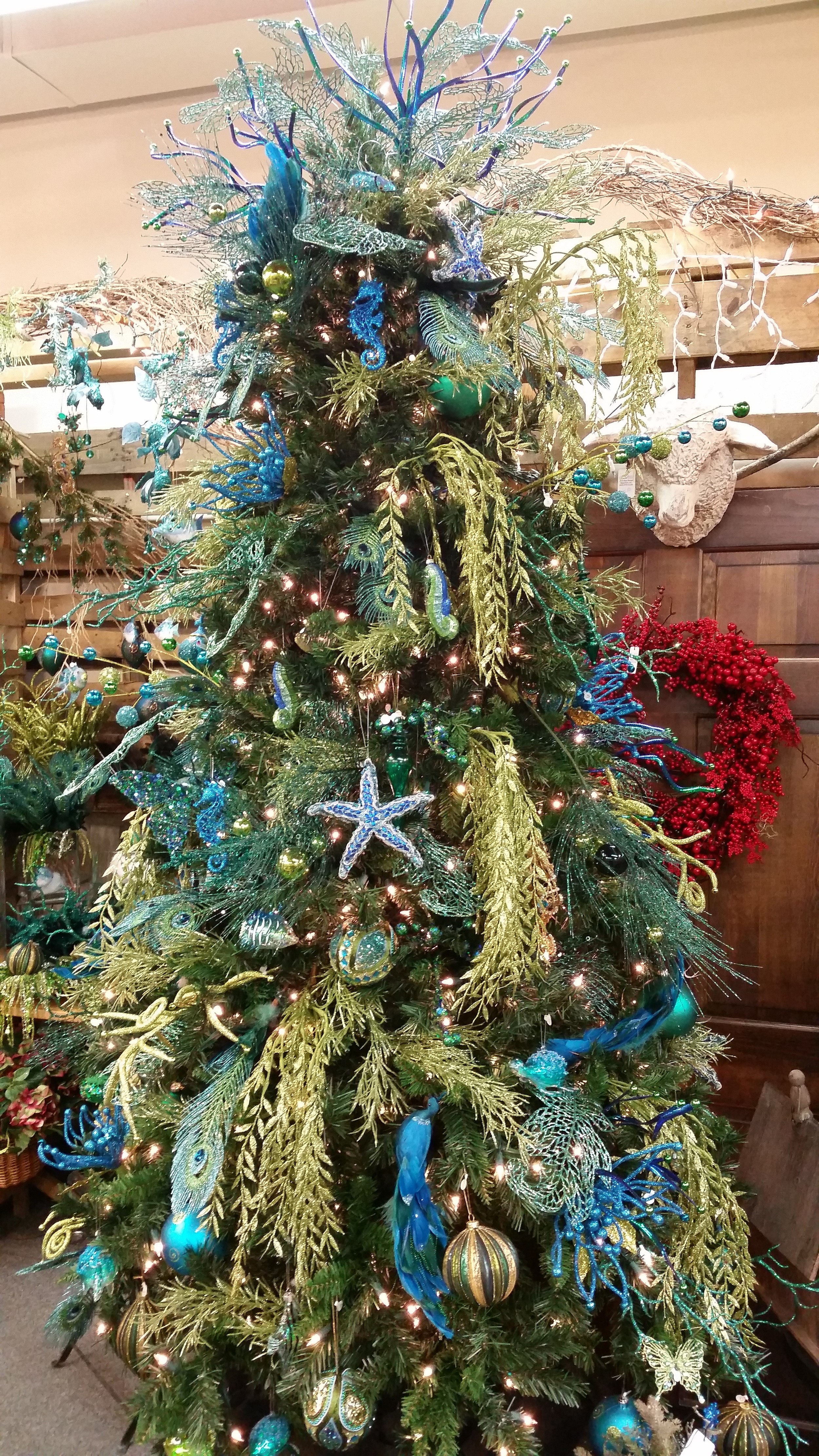 Christmas 2014