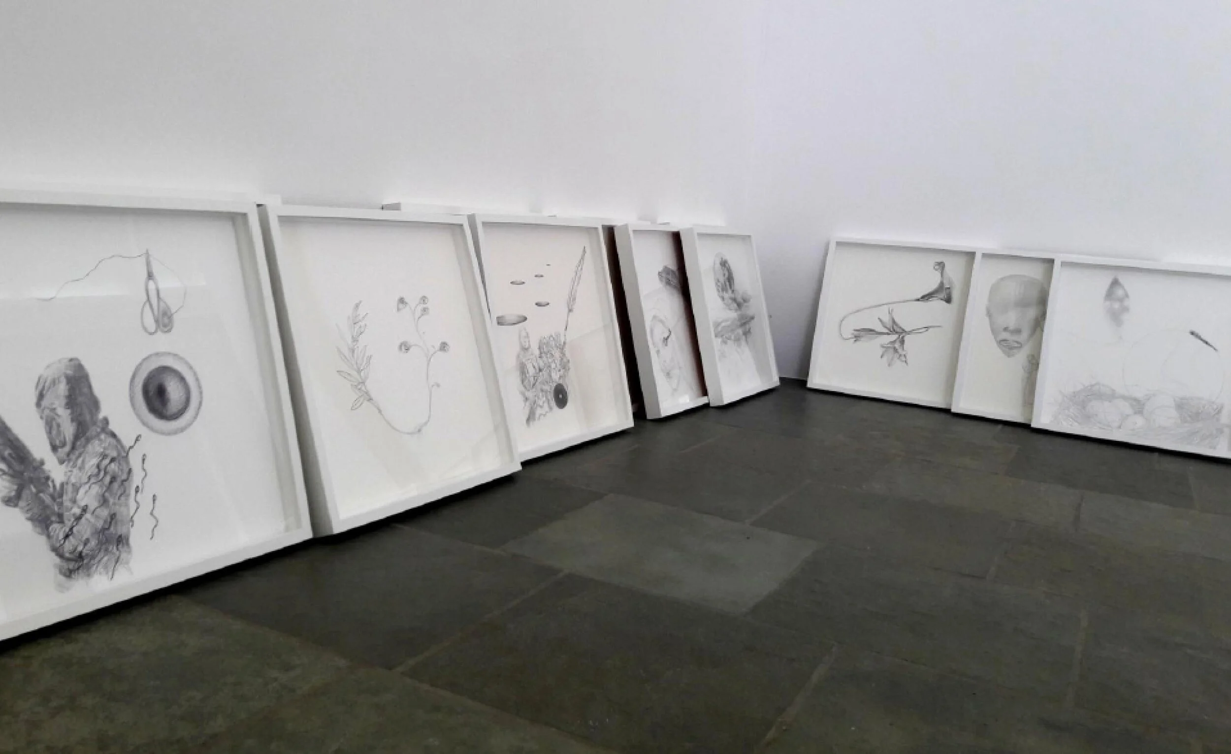 Nuovo Documento di Microsoft Office Publisherhhhhhh.jpg