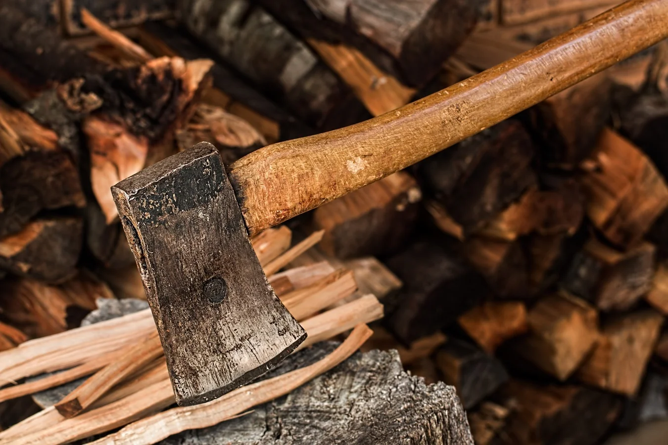 branch-sharp-wood-warm-trunk-tool-1233390-pxhere.com.jpg