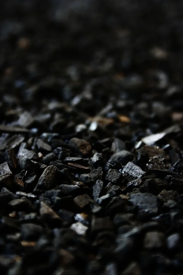 rock-plant-photography-leaf-flower-food-1332820-pxhere.com.jpg