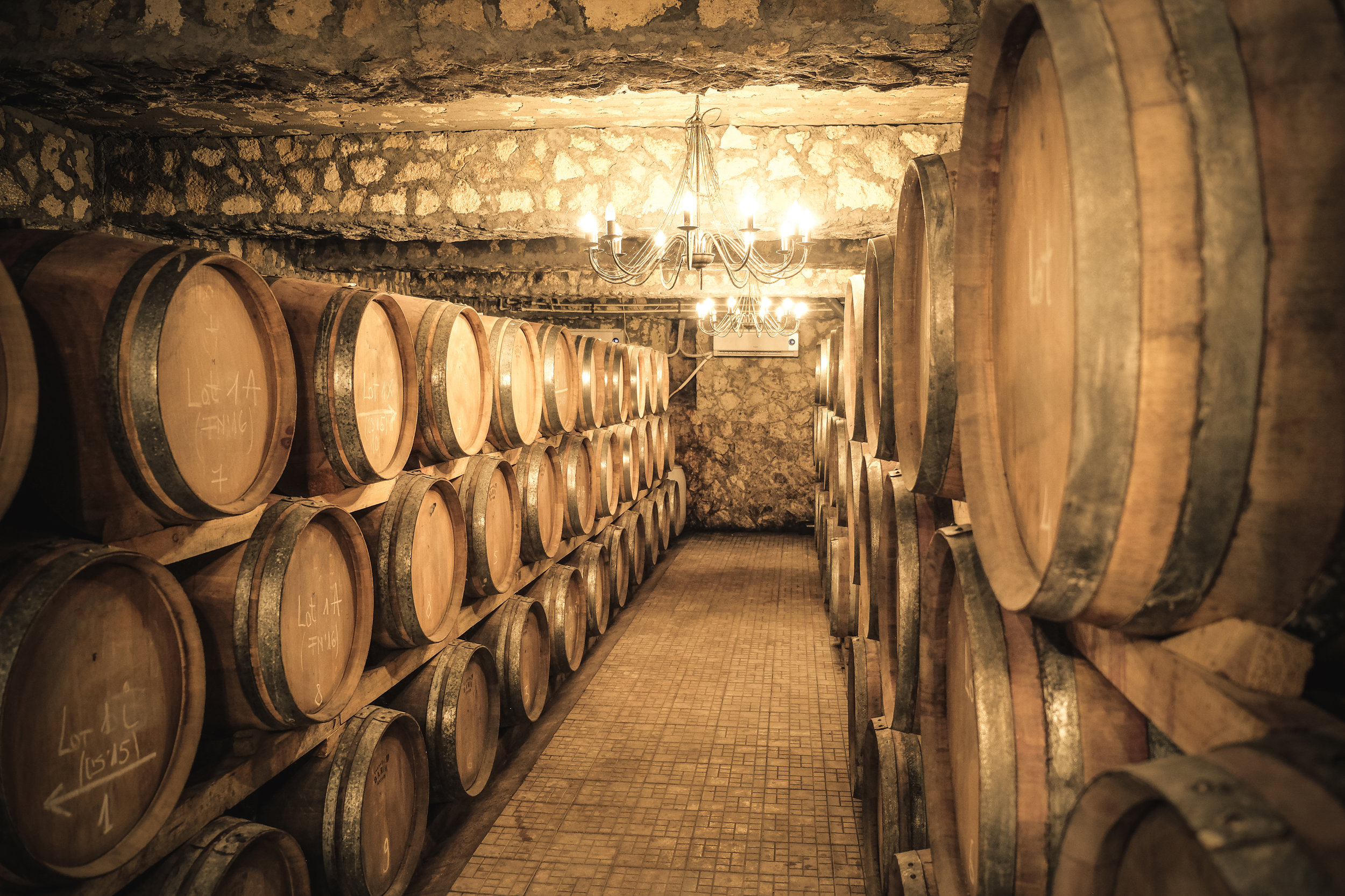 Winery cellar with wine barrels.jpg