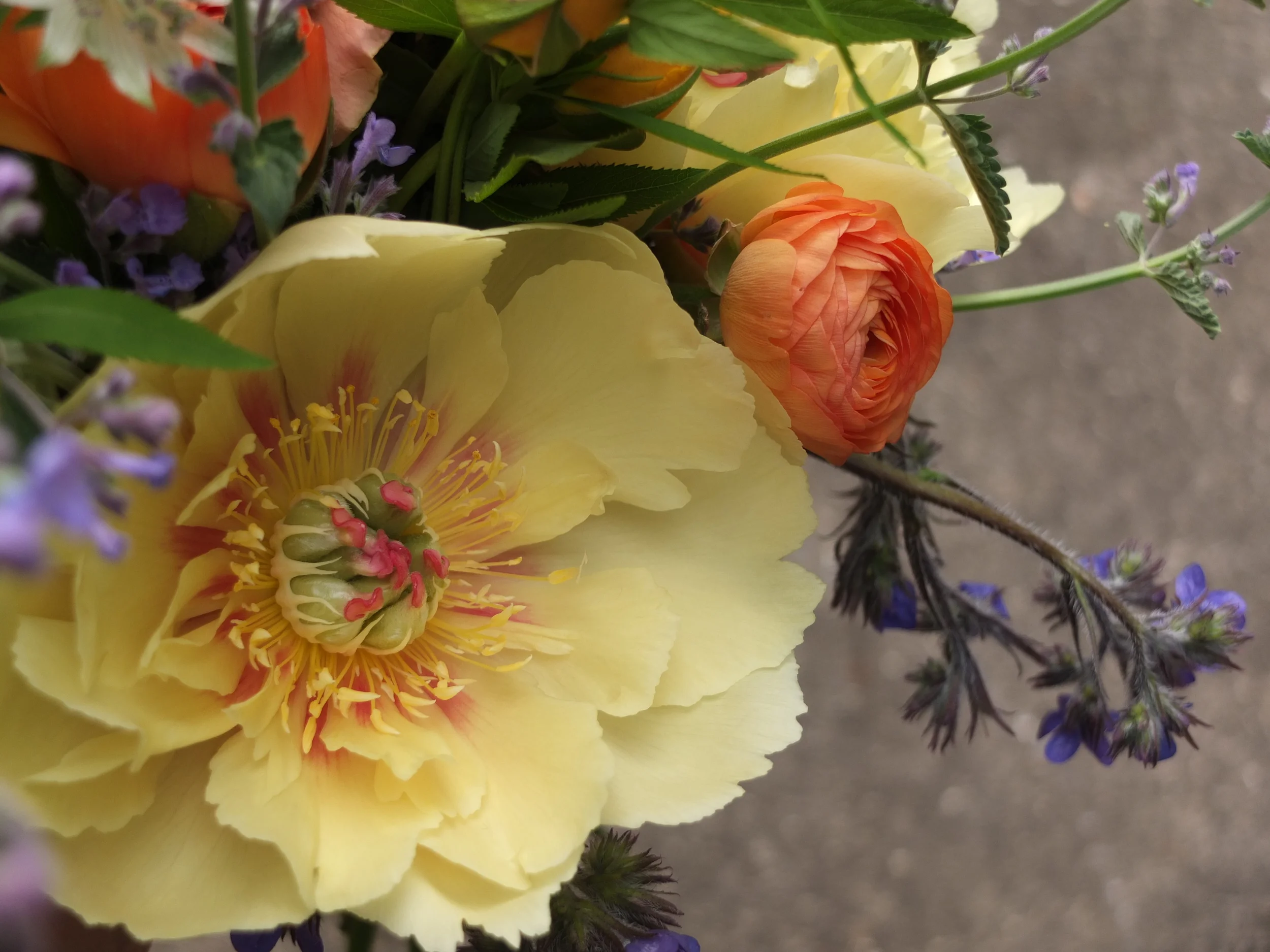 Kailla Platt Flowers Personal Flowers Bouquet