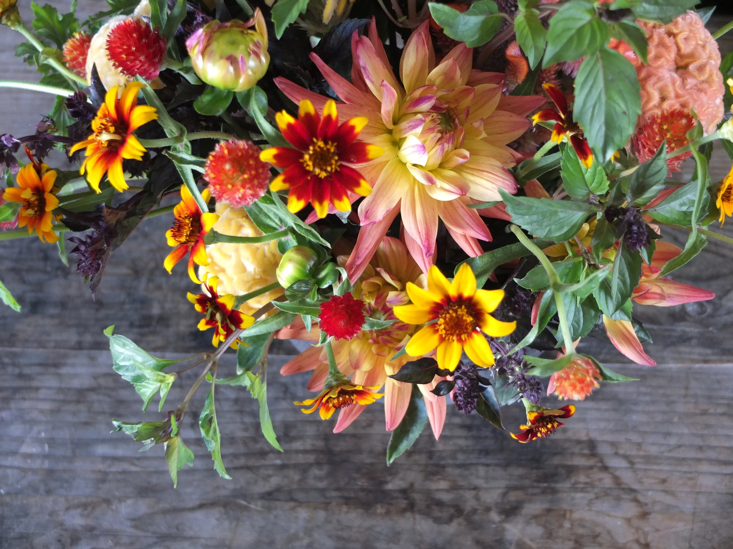 Kailla Platt Flowers Arrangements