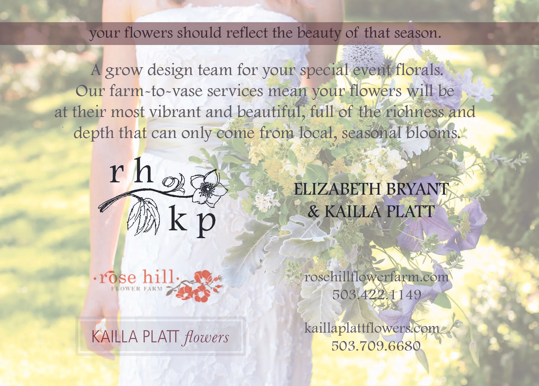 Postcard back