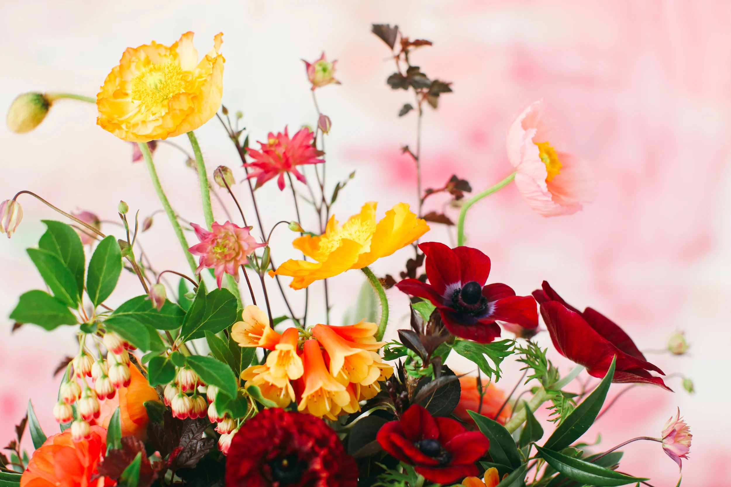 Kailla Platt Flowers Arrangements