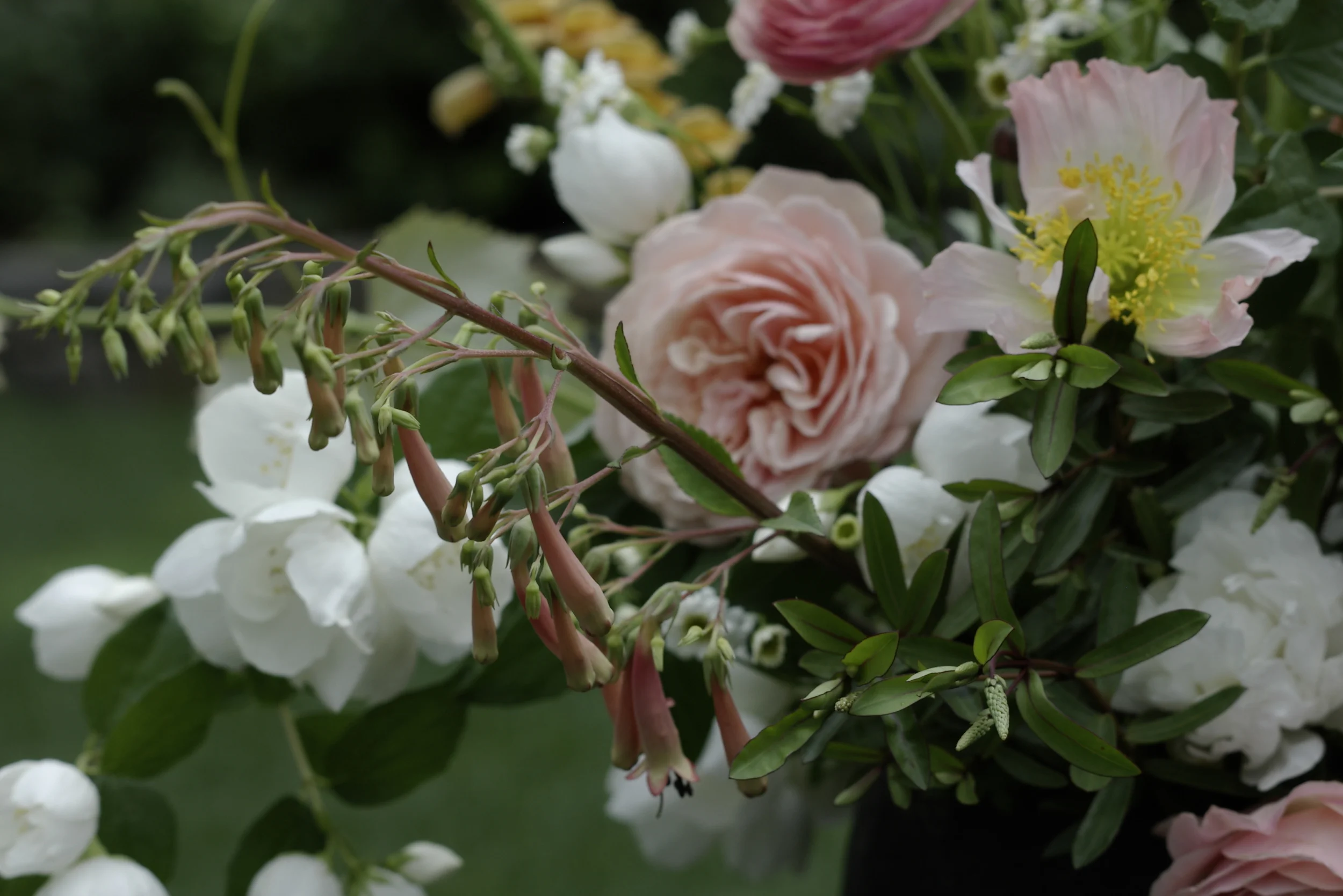 Kailla Platt Flowers Arrangements