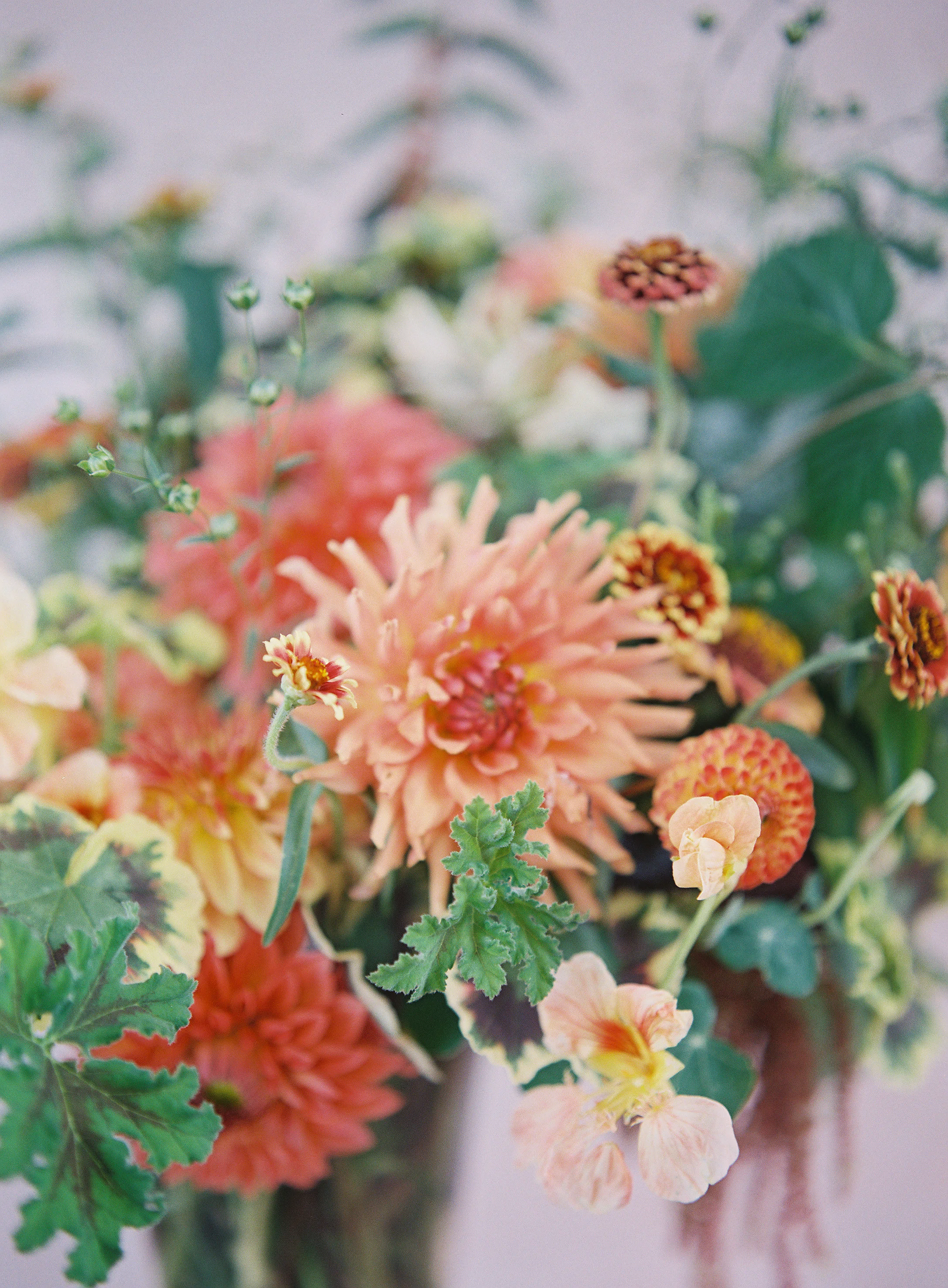 Kailla Platt Flowers Arrangements