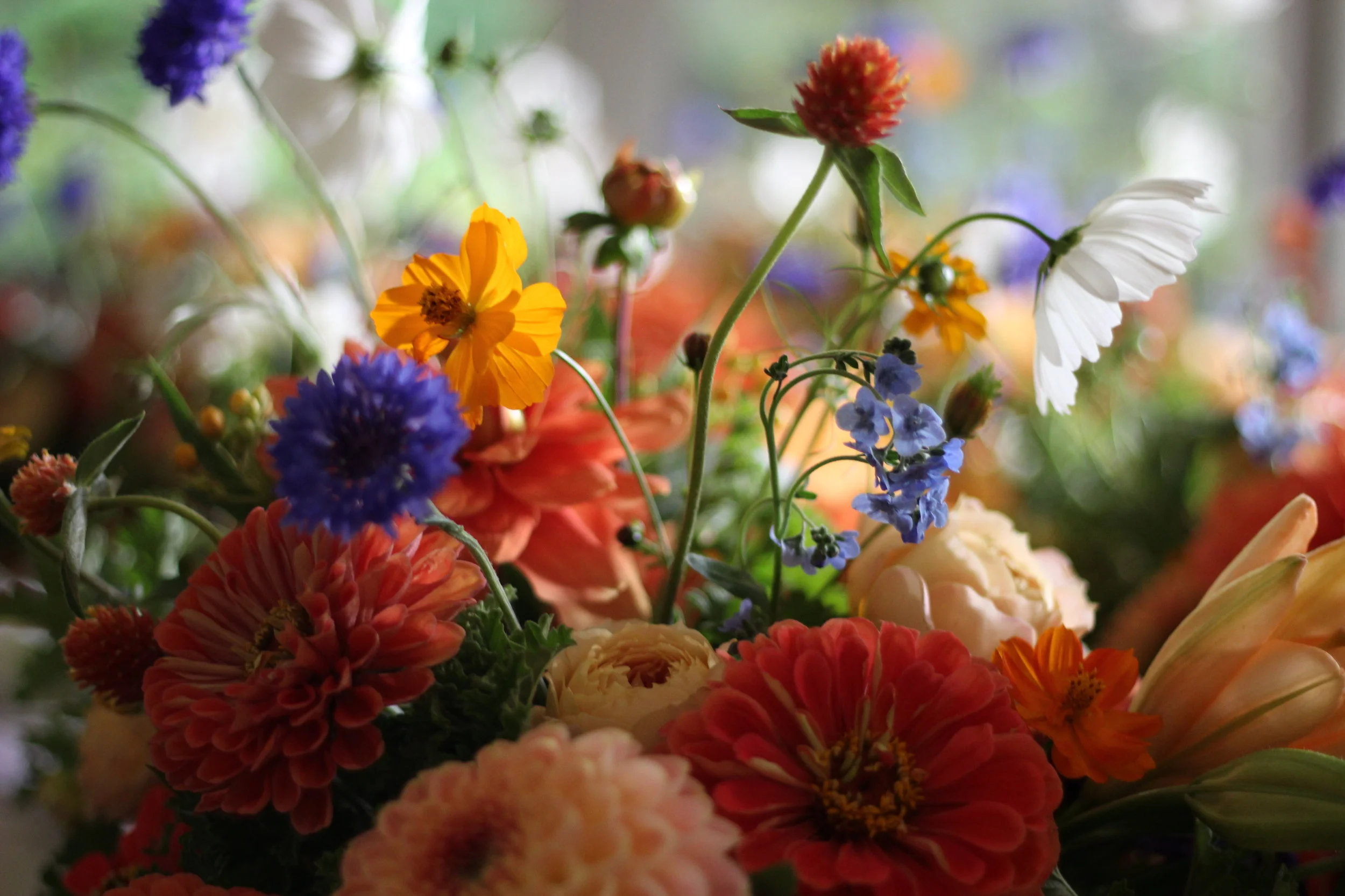 Kailla Platt Flowers Arrangements