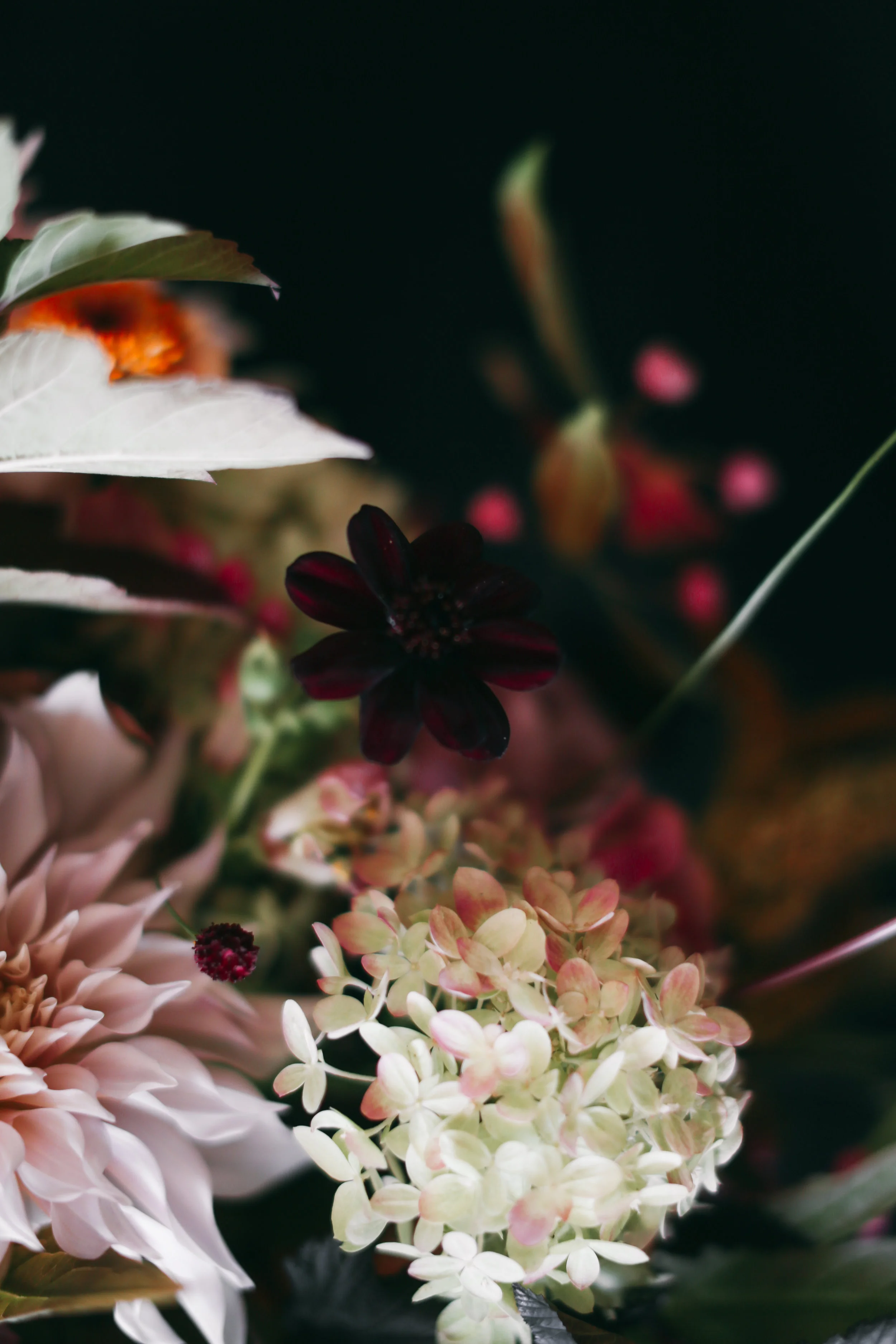 Kailla Platt Flowers Amy Wennerlind Haunt