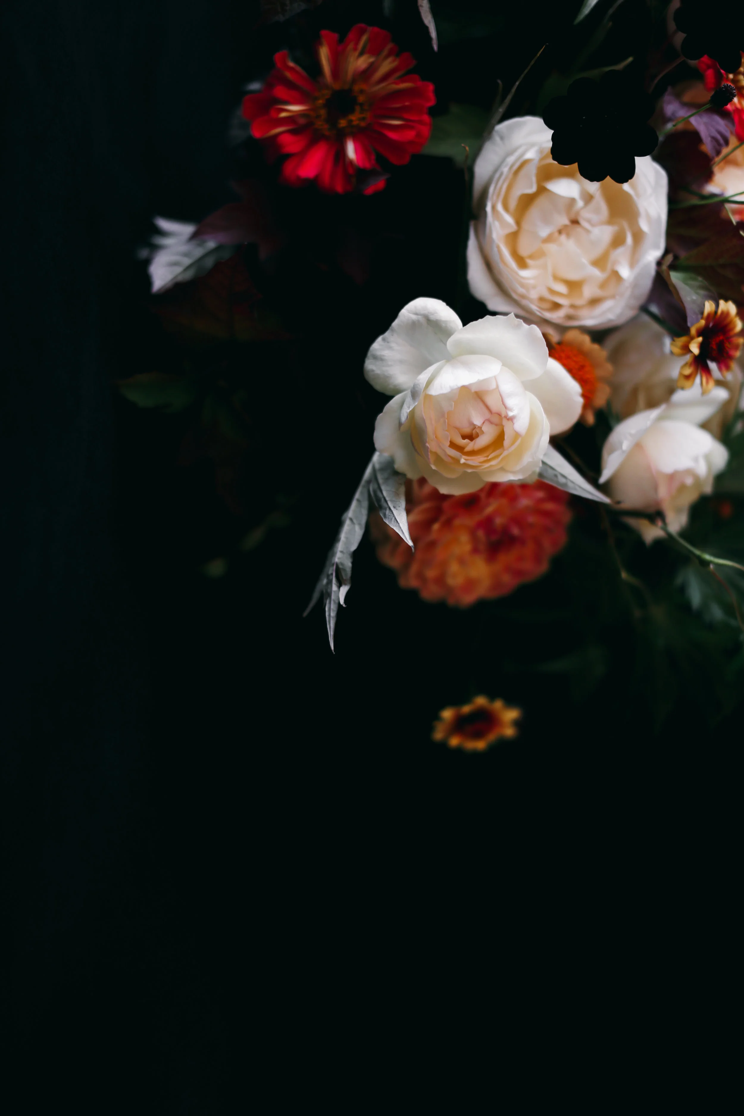 Kailla Platt Flowers Amy Wennerlind Haunt