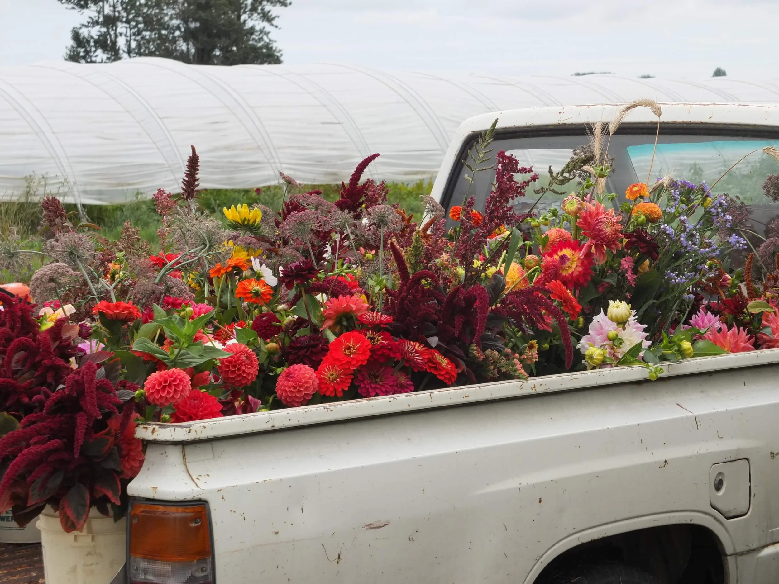Floret Flower Farm Workshop