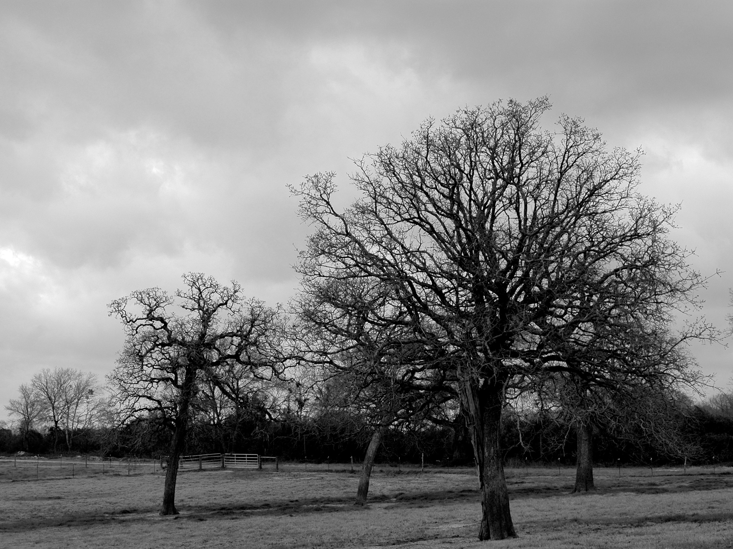 DSC_0027.JPG