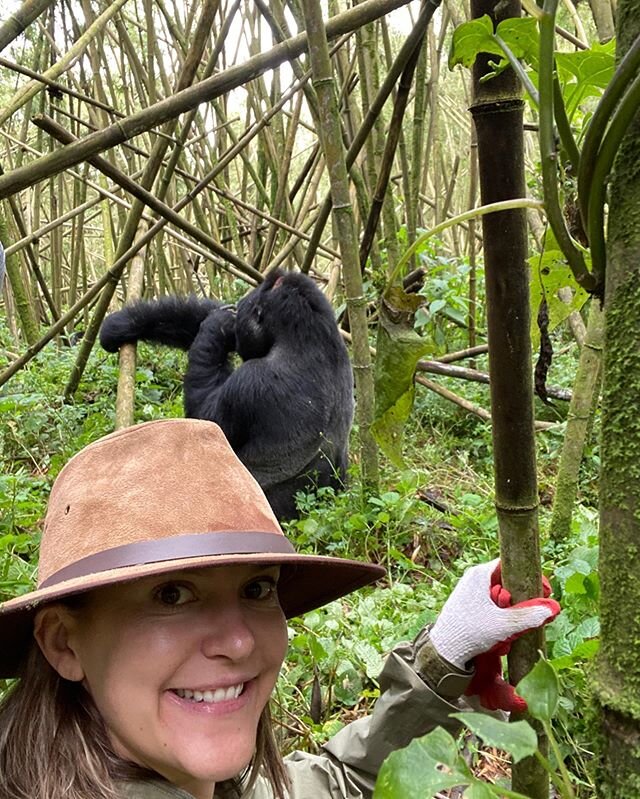 A few favorites from Rwanda in no particular order. From the people, the rich culture, history, gorilla trekking, luxury hotels, amazing food, (I could go on and on)....Rwanda has stolen my heart! Can’t wait to return to this magical place. Tha