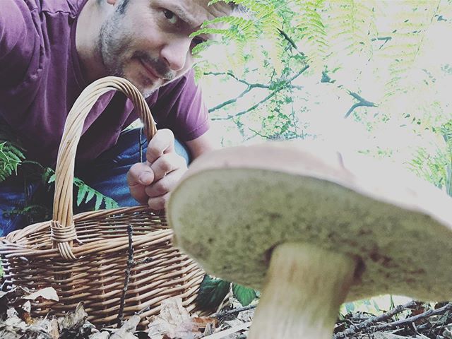 #mushroomhunting