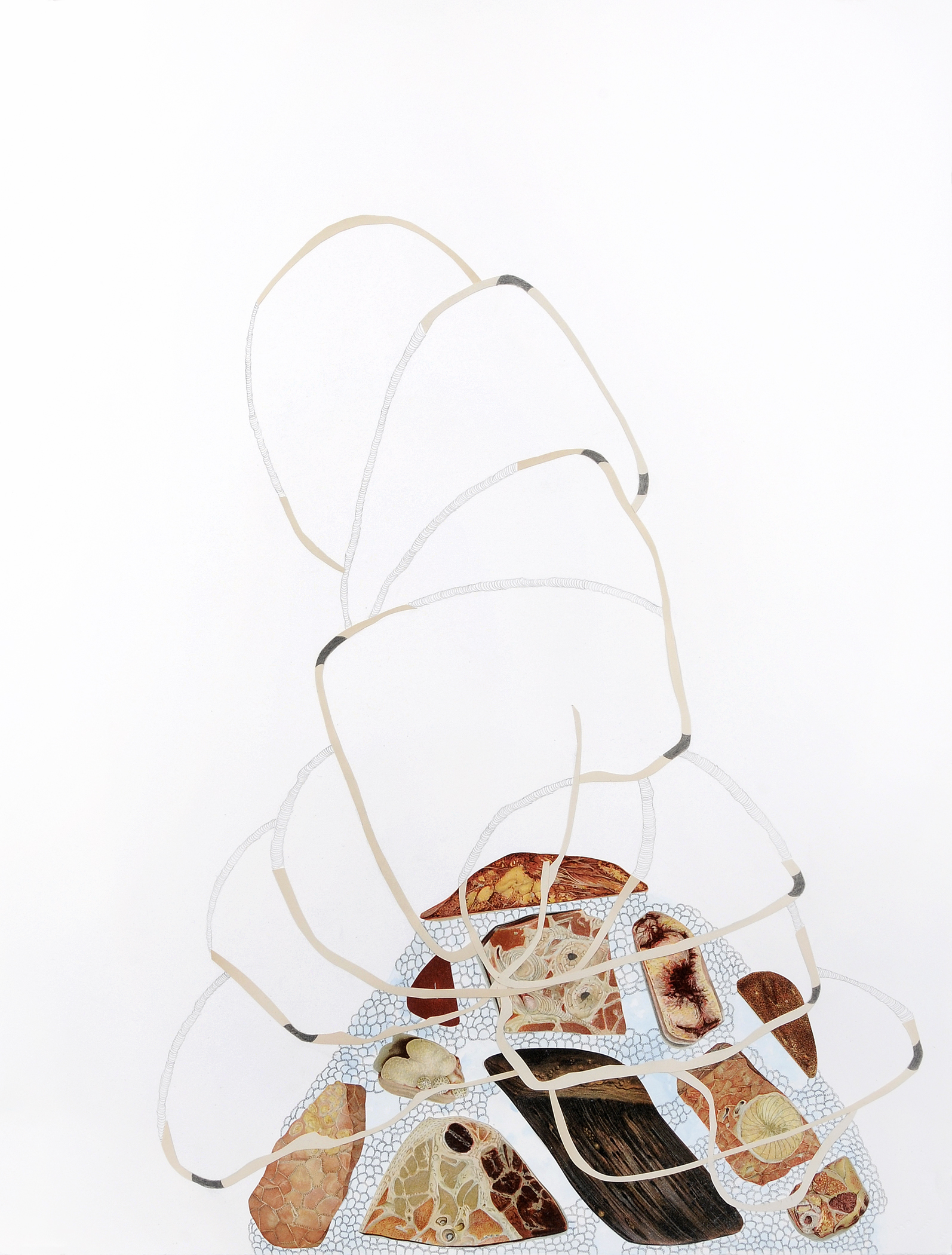 Hierarchical Cross Section , gouache, graphite, collage on paper, 30" x 22", 2012