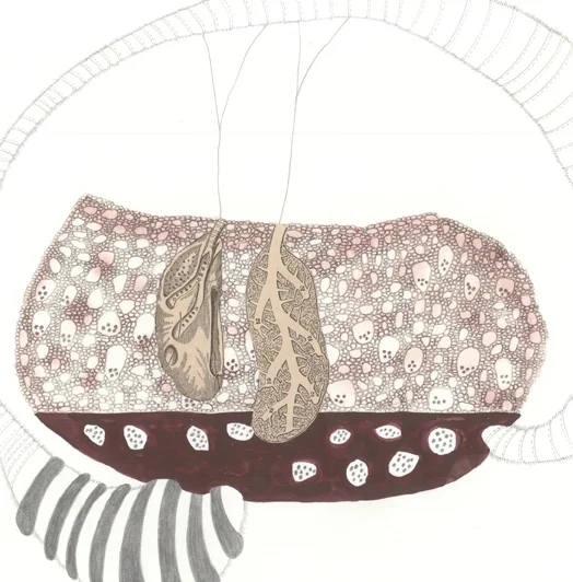 Pulmo Tumefacians (detail)