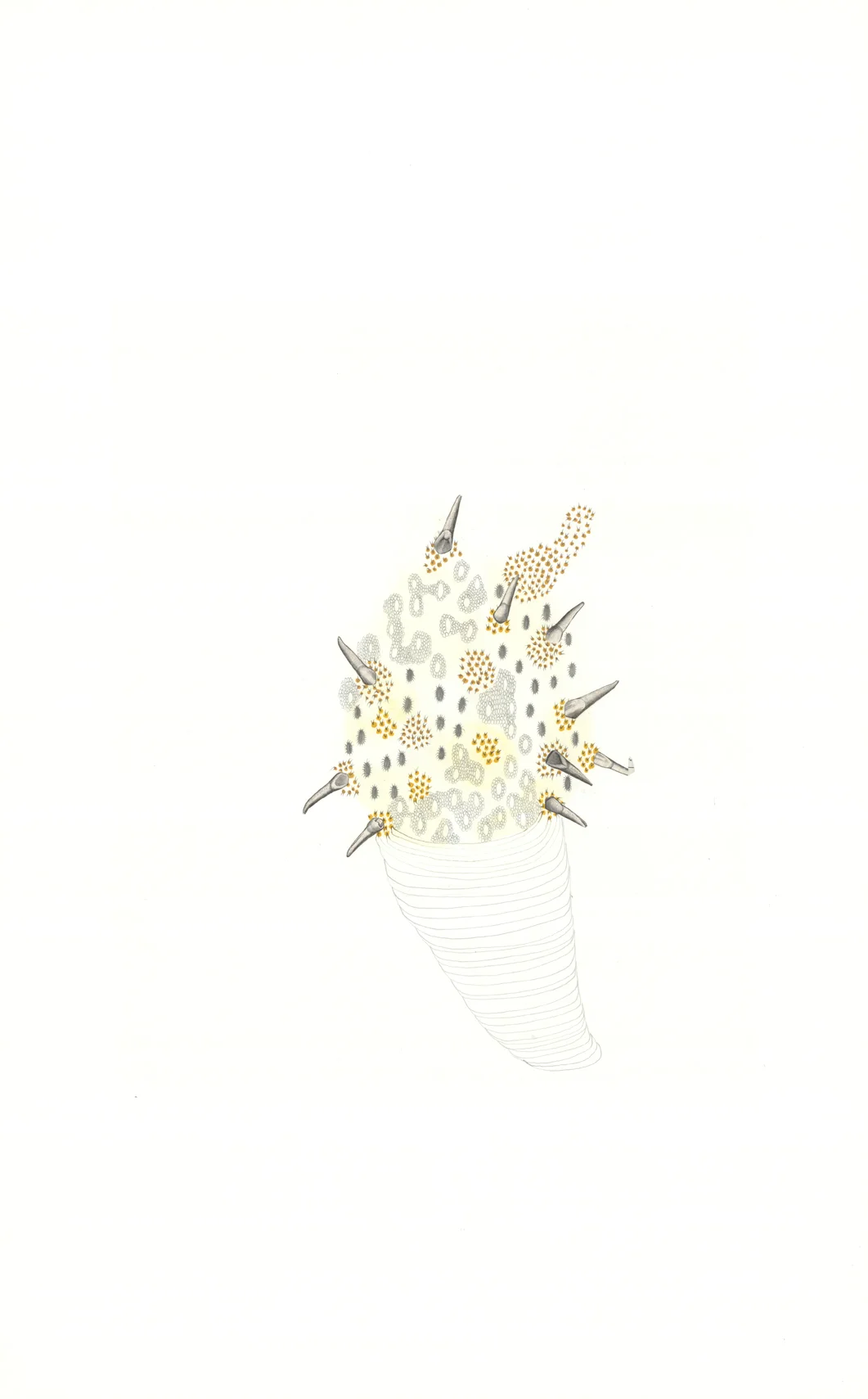 Spinia Coccum , gouache, graphite, collage on paper, 24" x 16"