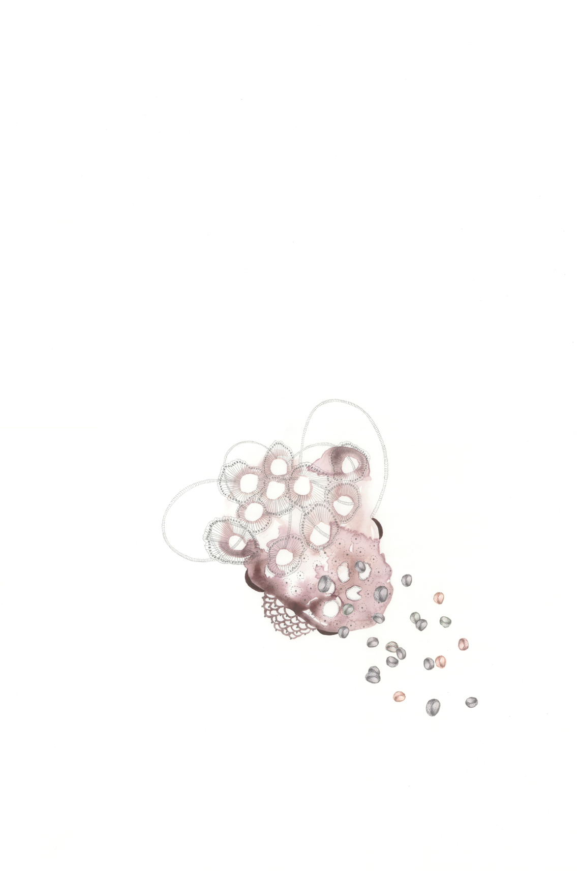 Filtrum Dithrombocyte, g ouache, graphite, collage on paper, 24" x 16", 2011