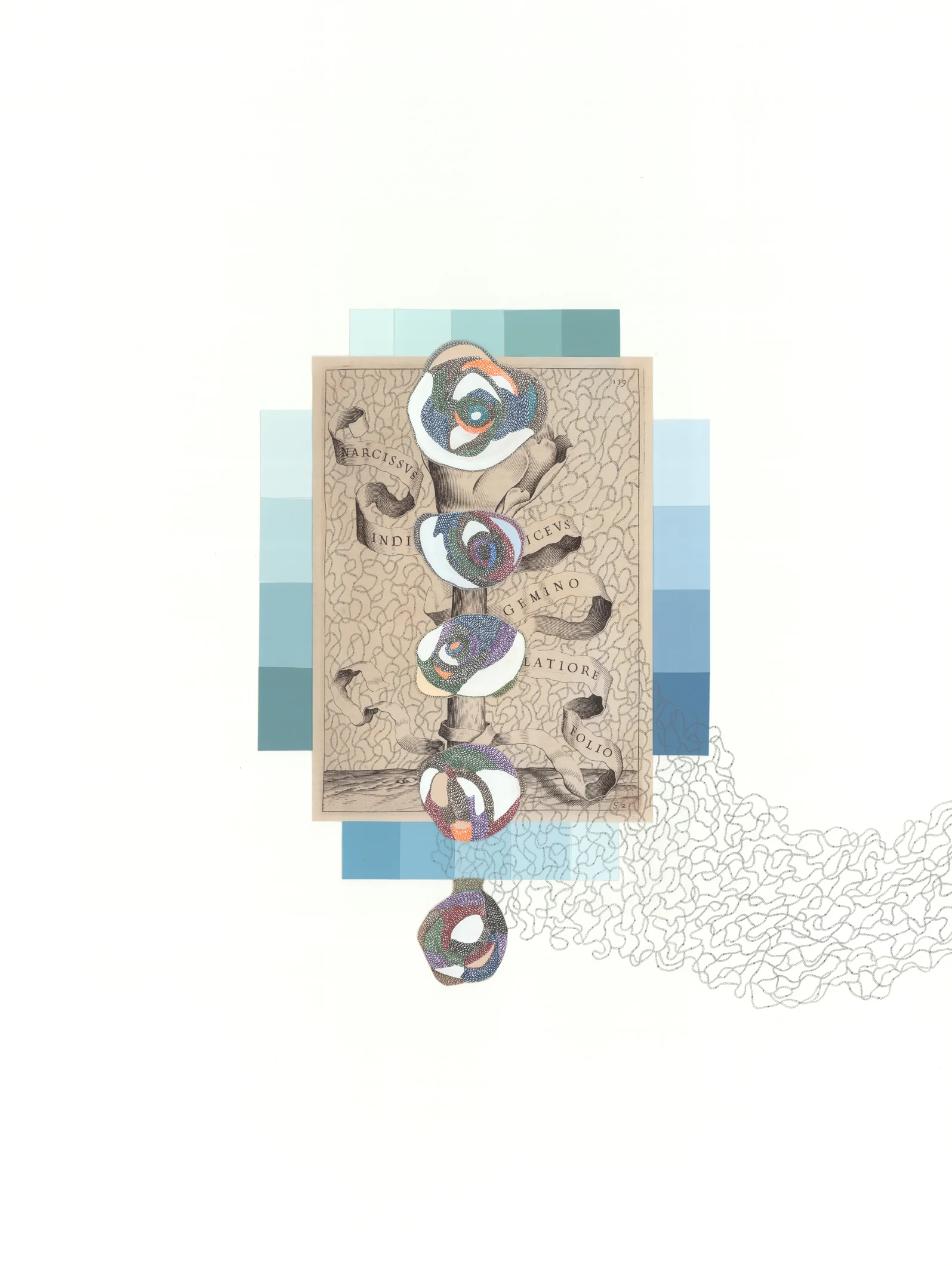 Sequencing Nature 4, graphite, ink pen, collage on paper, "30 x 22", 2013