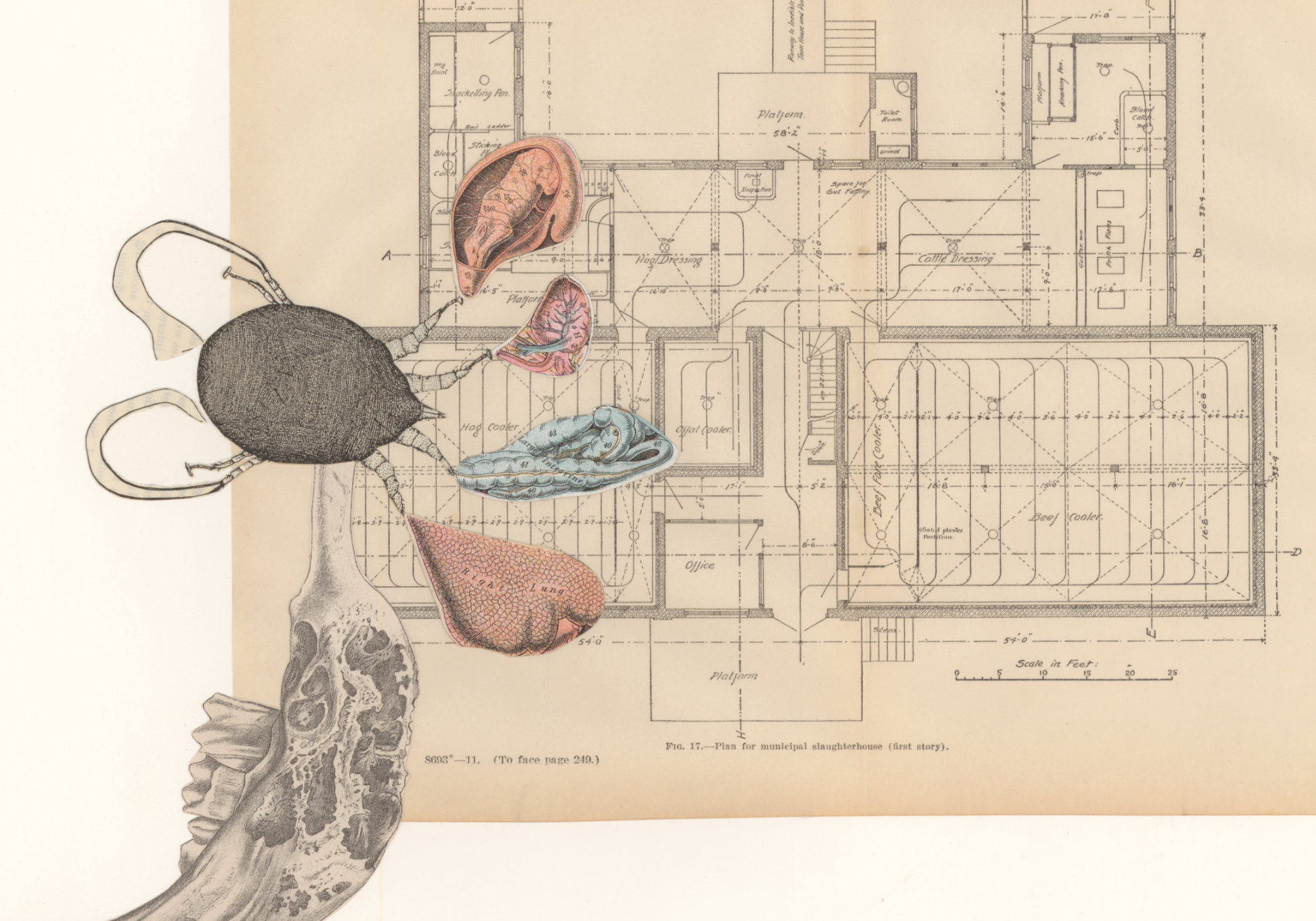 AP2 (detail) , collage on paper, 30" x 22", 2014