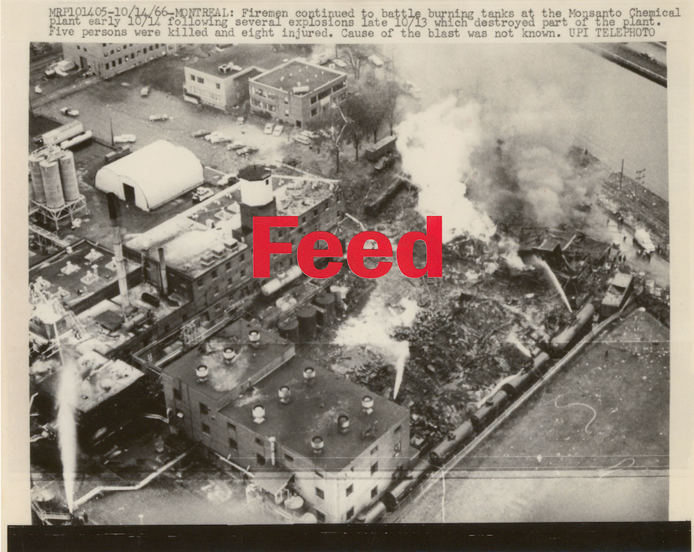 Feed , silkscreen on archival pigment print, 8" x 10", 2016