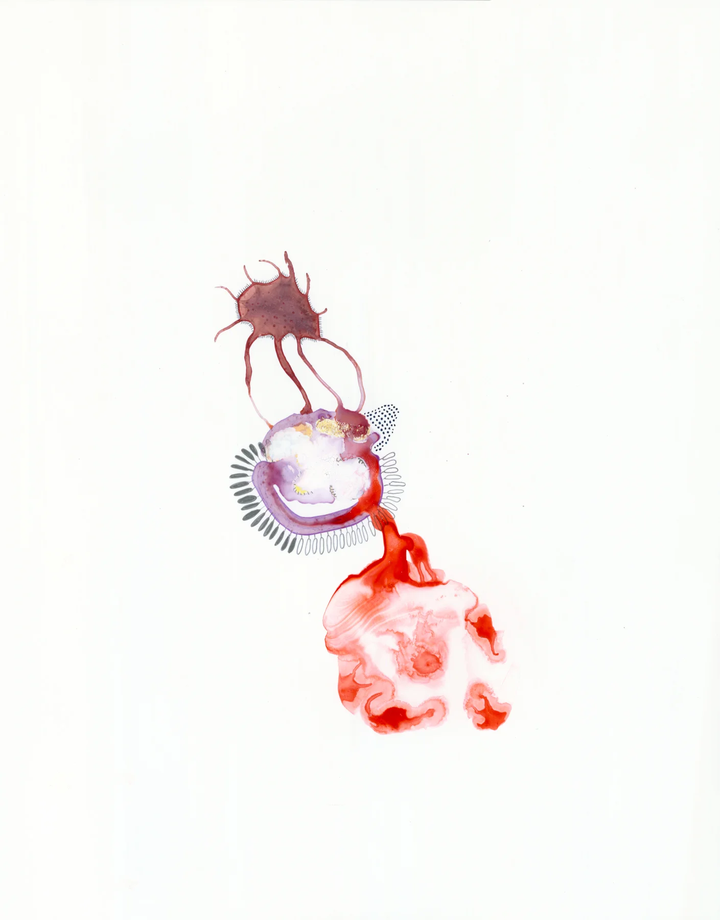 Specimen-9, gouache, ink, graphite on Yupo, 14" x 11", 2013