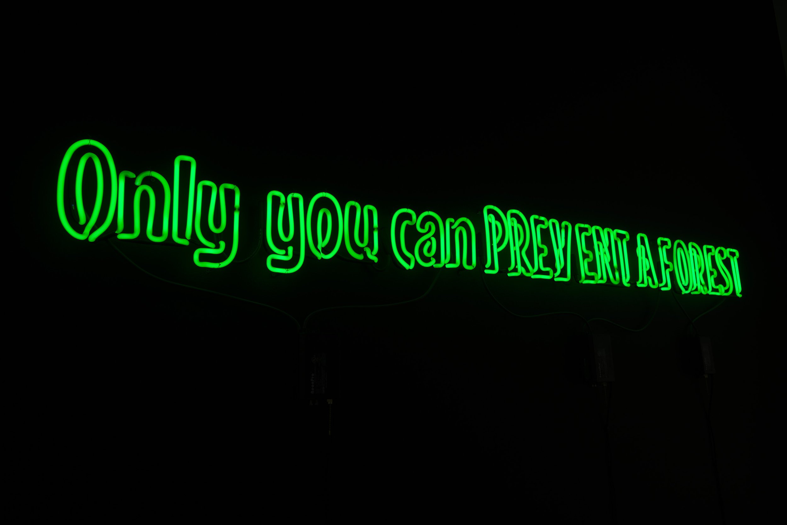   Only You Can Prevent A Forest (detail) ,  neon wall sculpture, 9” x 7’2”, 2022 