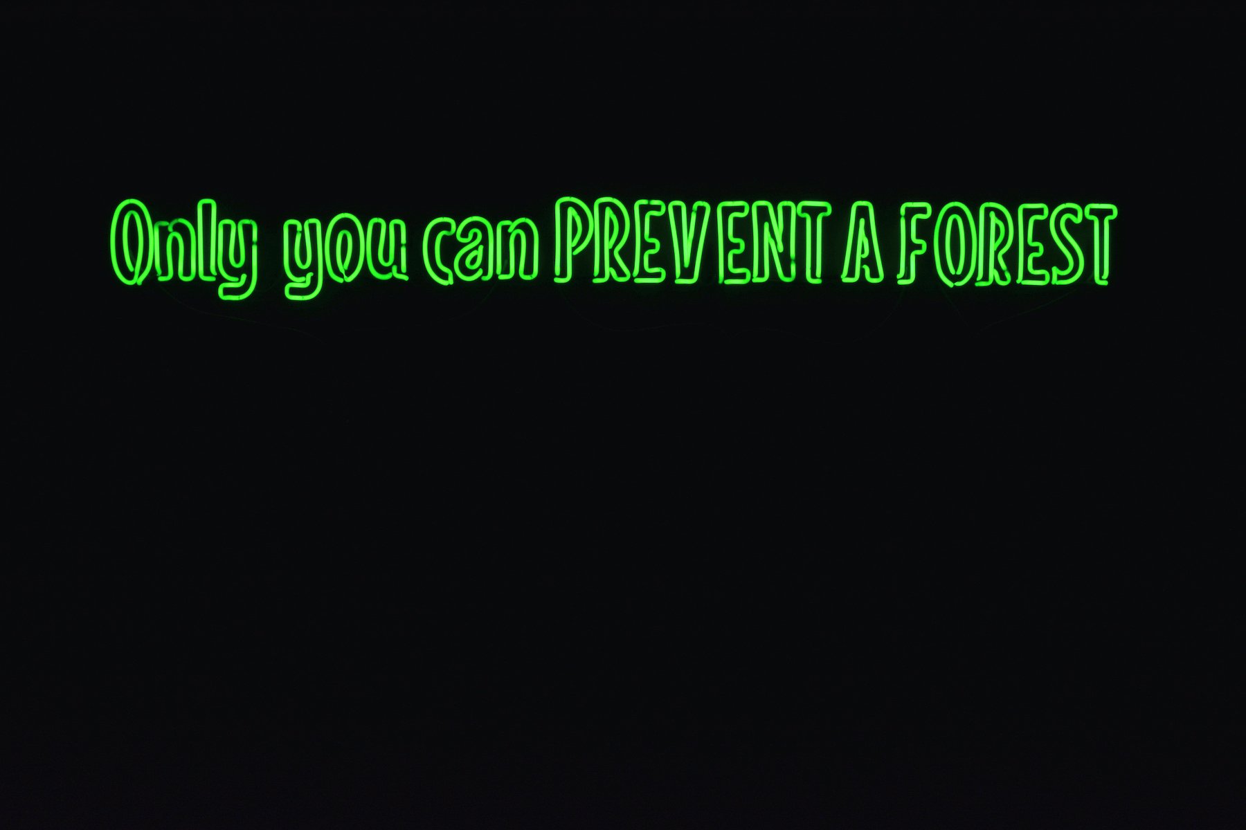   Only You Can Prevent A Forest ,  neon wall sculpture, 9” x 7’2”, 2022 