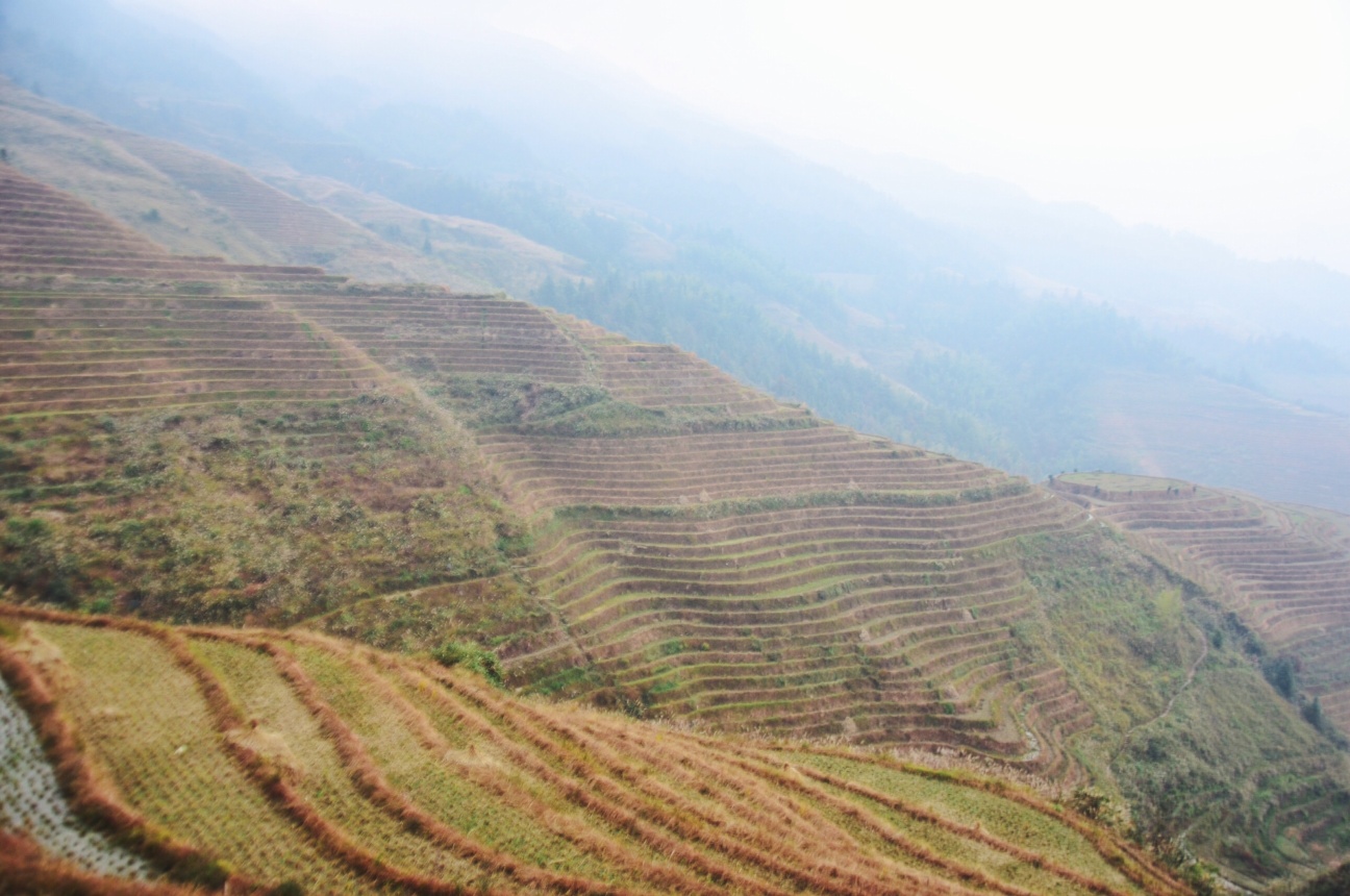 Guilin11.jpeg