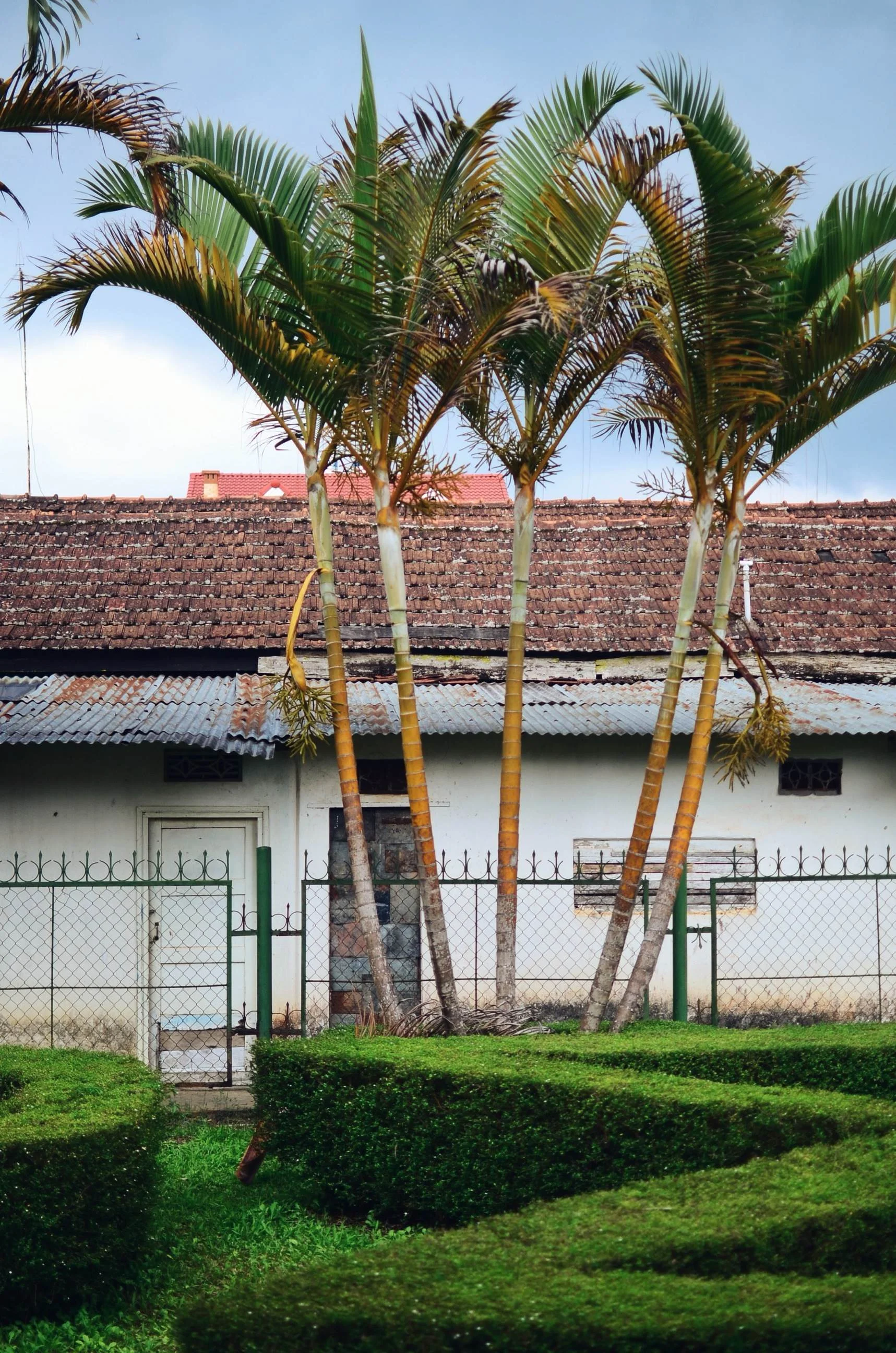 photo4.jpg