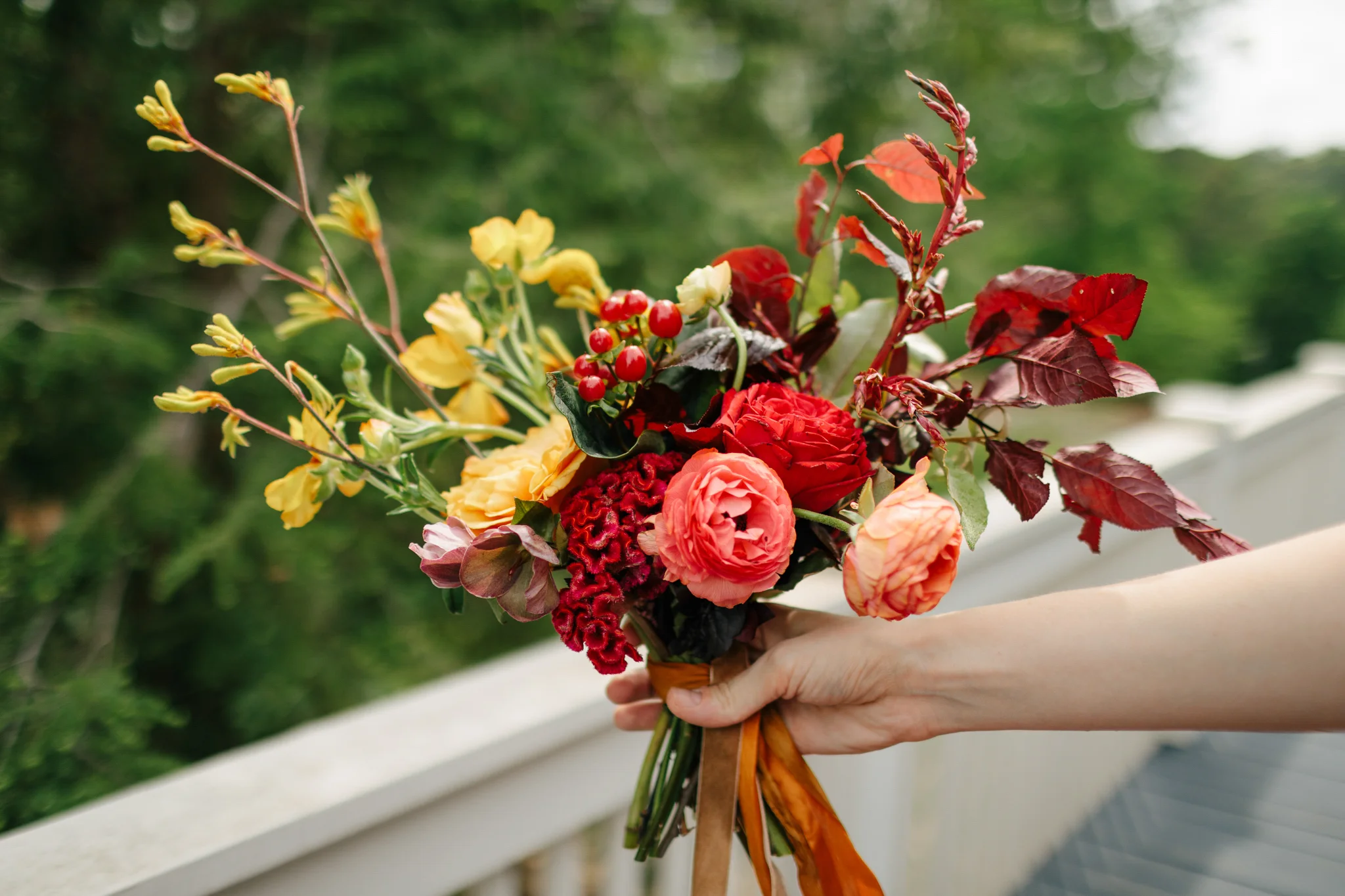 032HeatherWallPhoto145HeatherWallPhoto6Z9A1065April 30, 2017.jpg