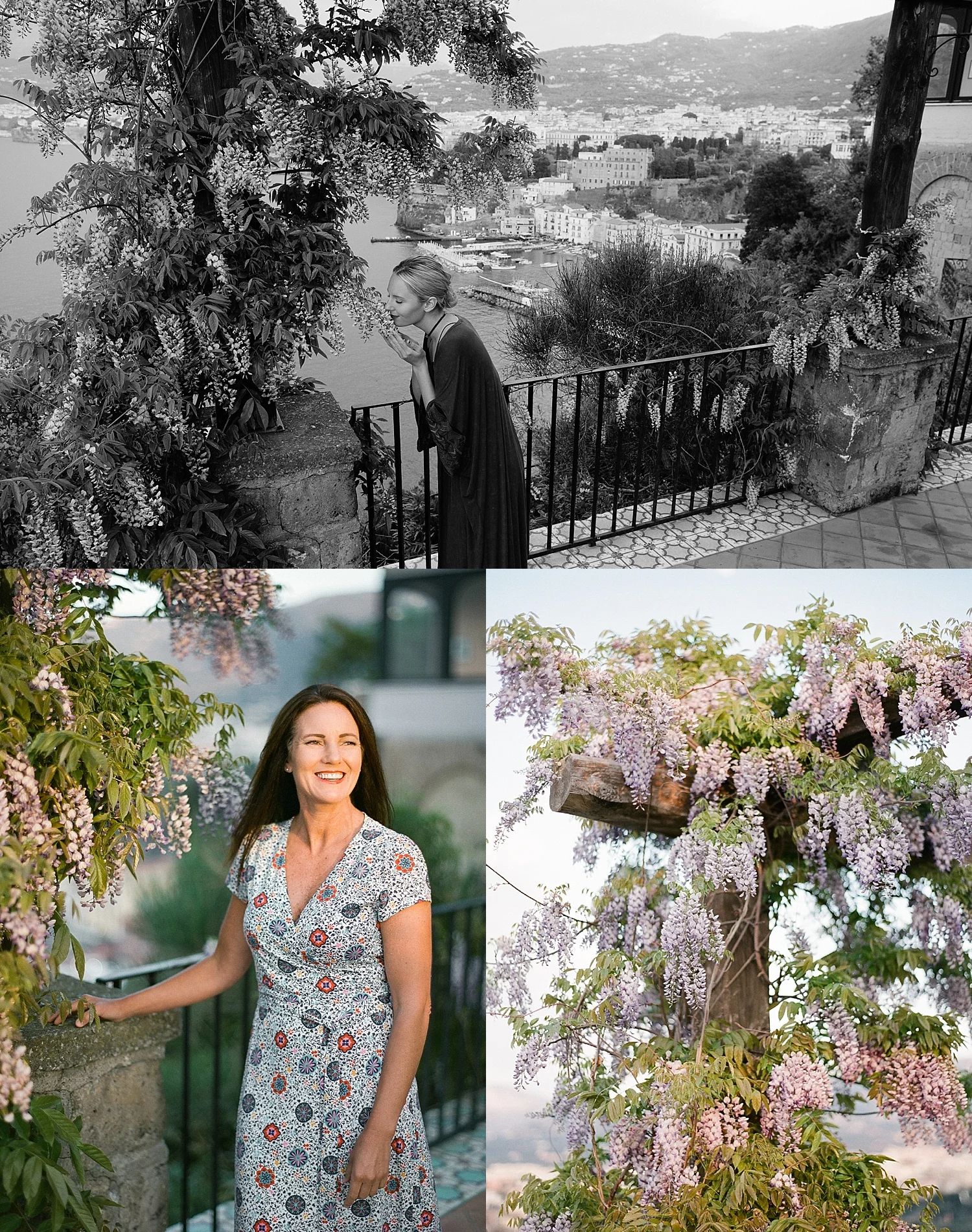 Wisteria in bloom (our terrace, it's huge!)