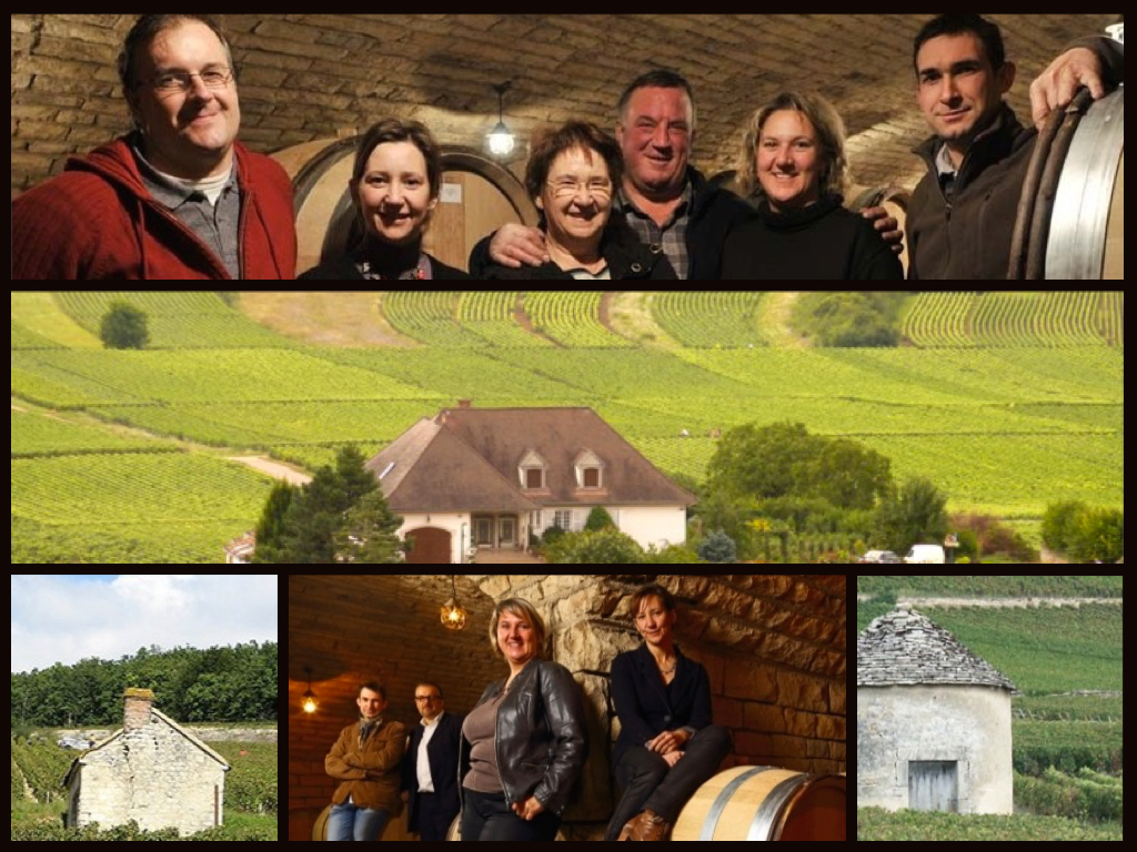 MARDI 19 MAI 2015 : Domaine LAMY-PILLOT / CHASSAGNE-MONTRACHET