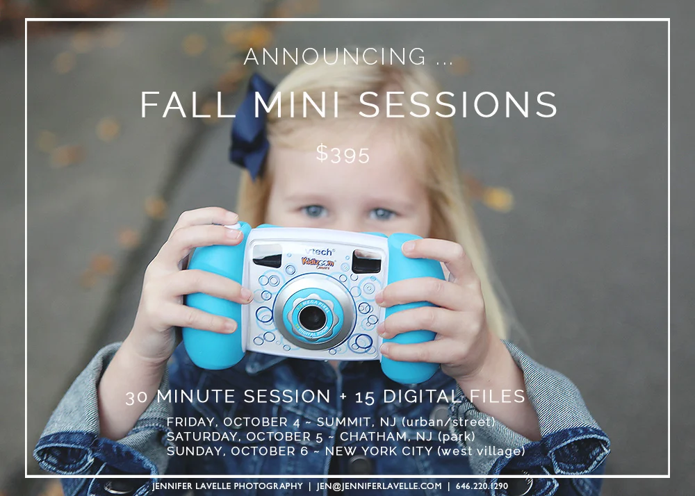 fall2013minis