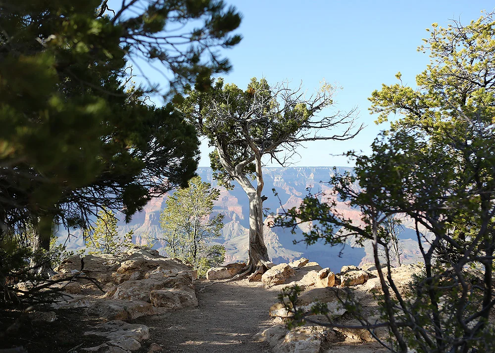 image_0752.jpg